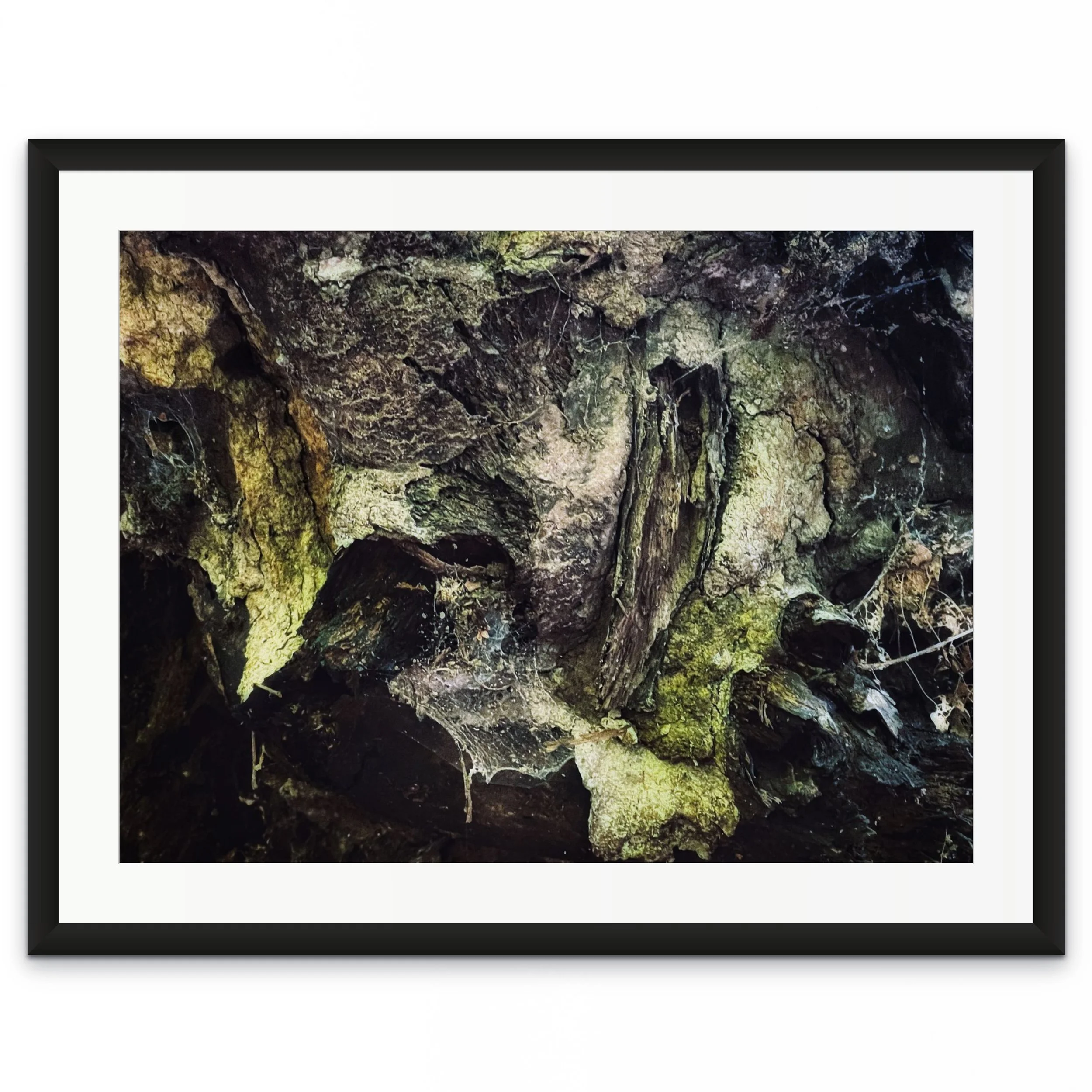 snapseed 18-full (1).jpg