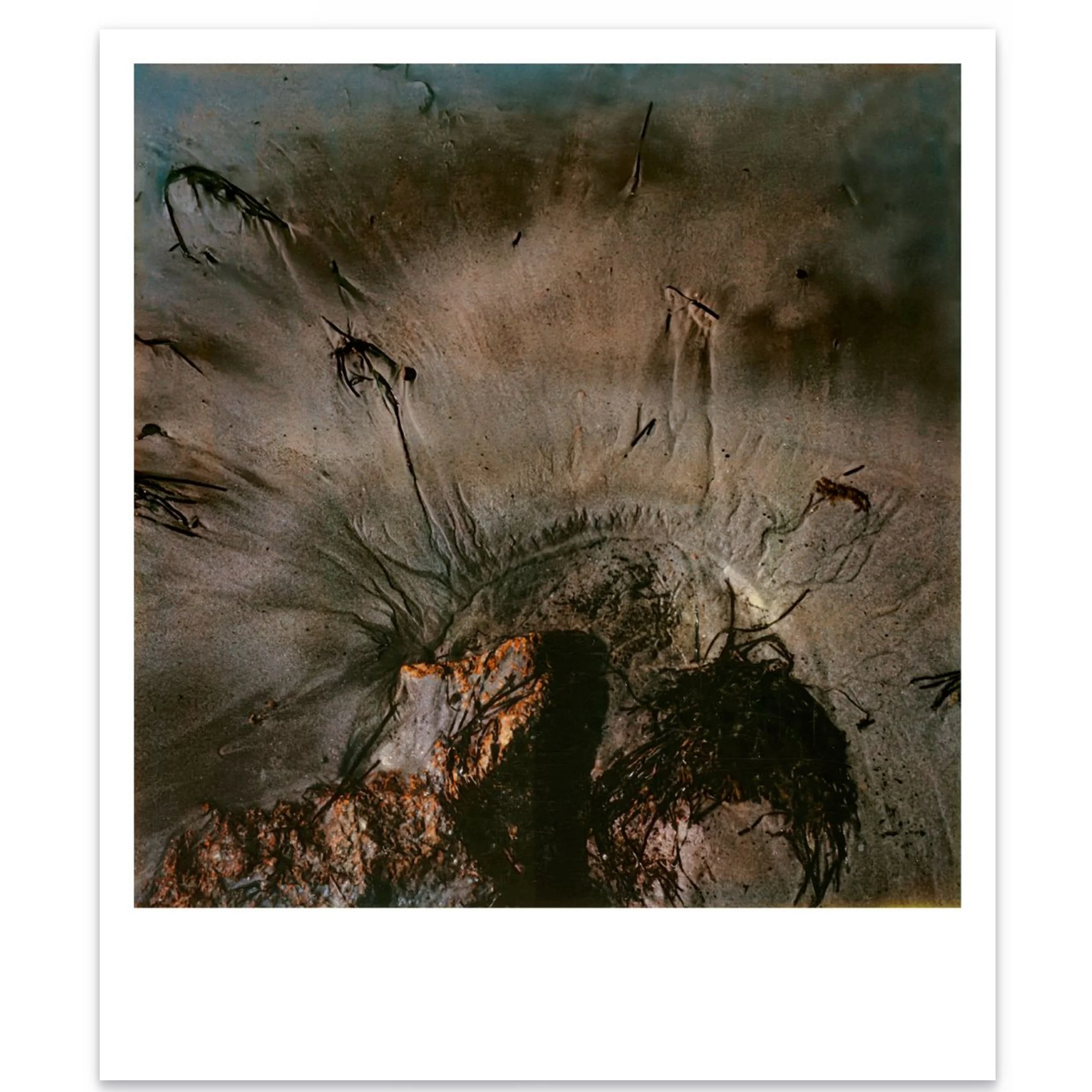  For Anselm Kiefer 30x36 inches | 1989  
