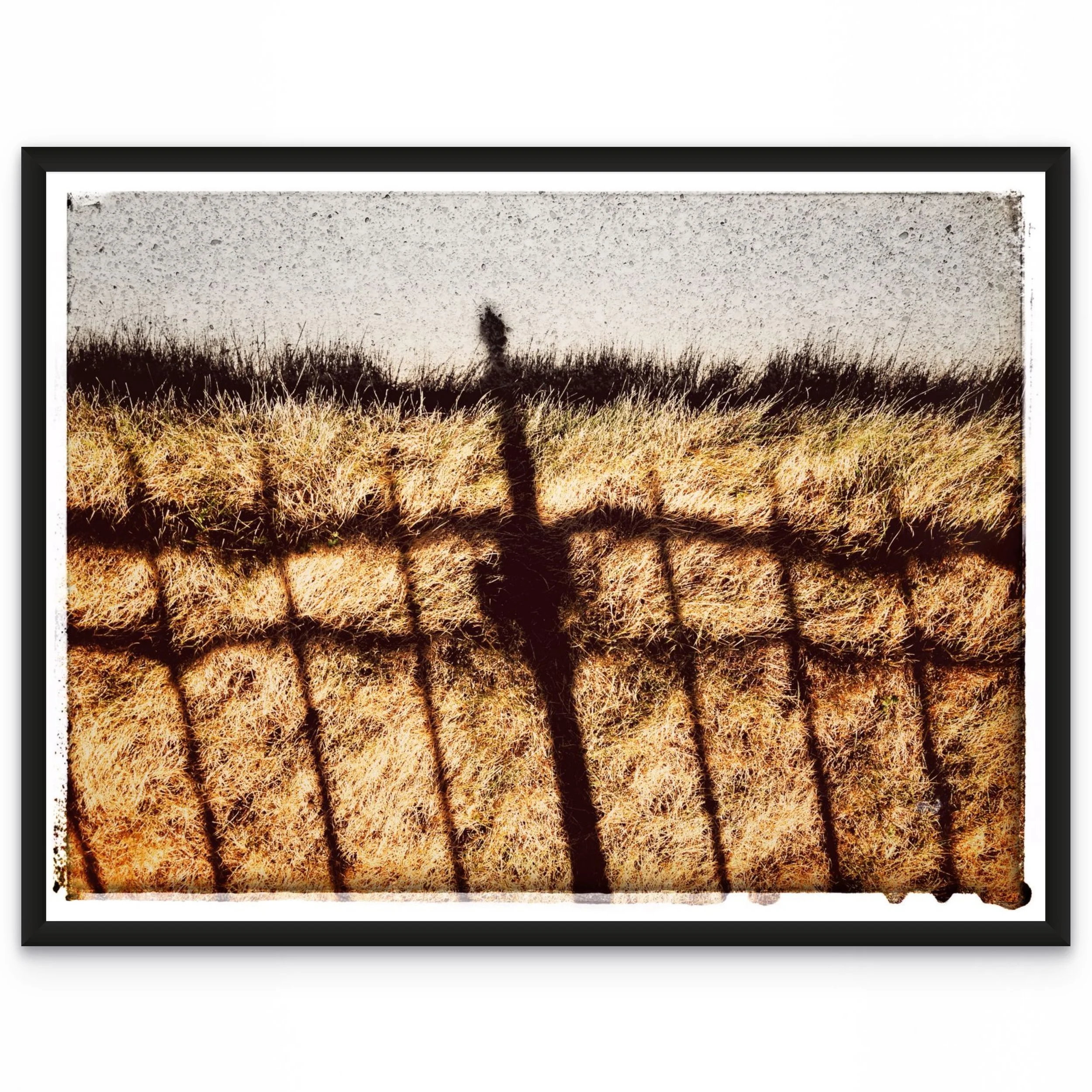  Fence 