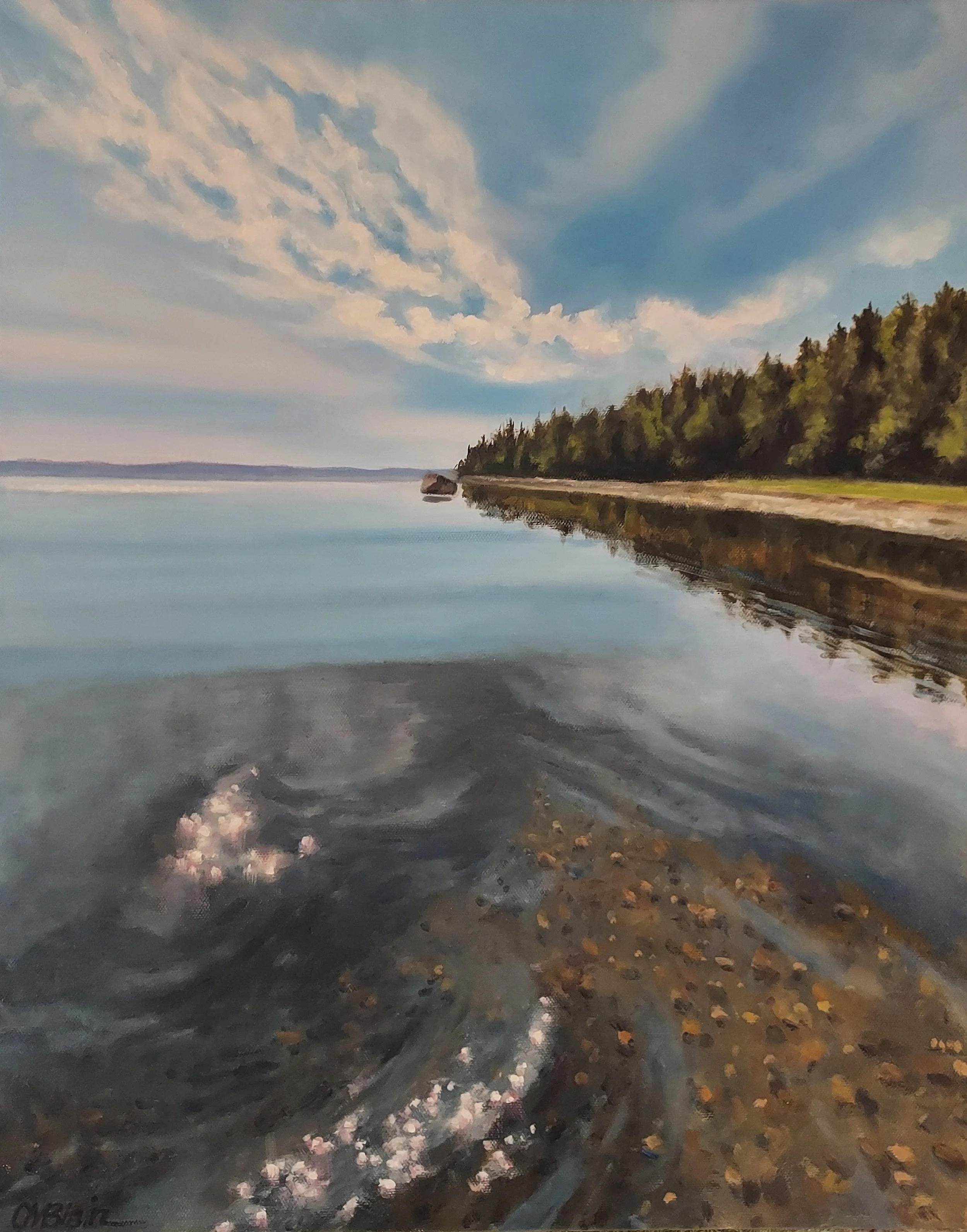 Orr Cove, Maine Coast  