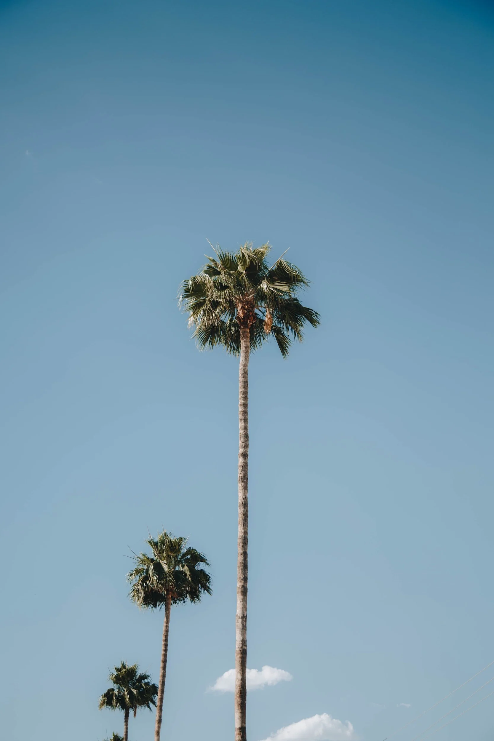 How Moving Is Like Birth Pt. 2