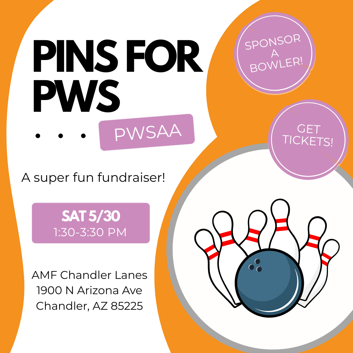 Pins for PWS tickets