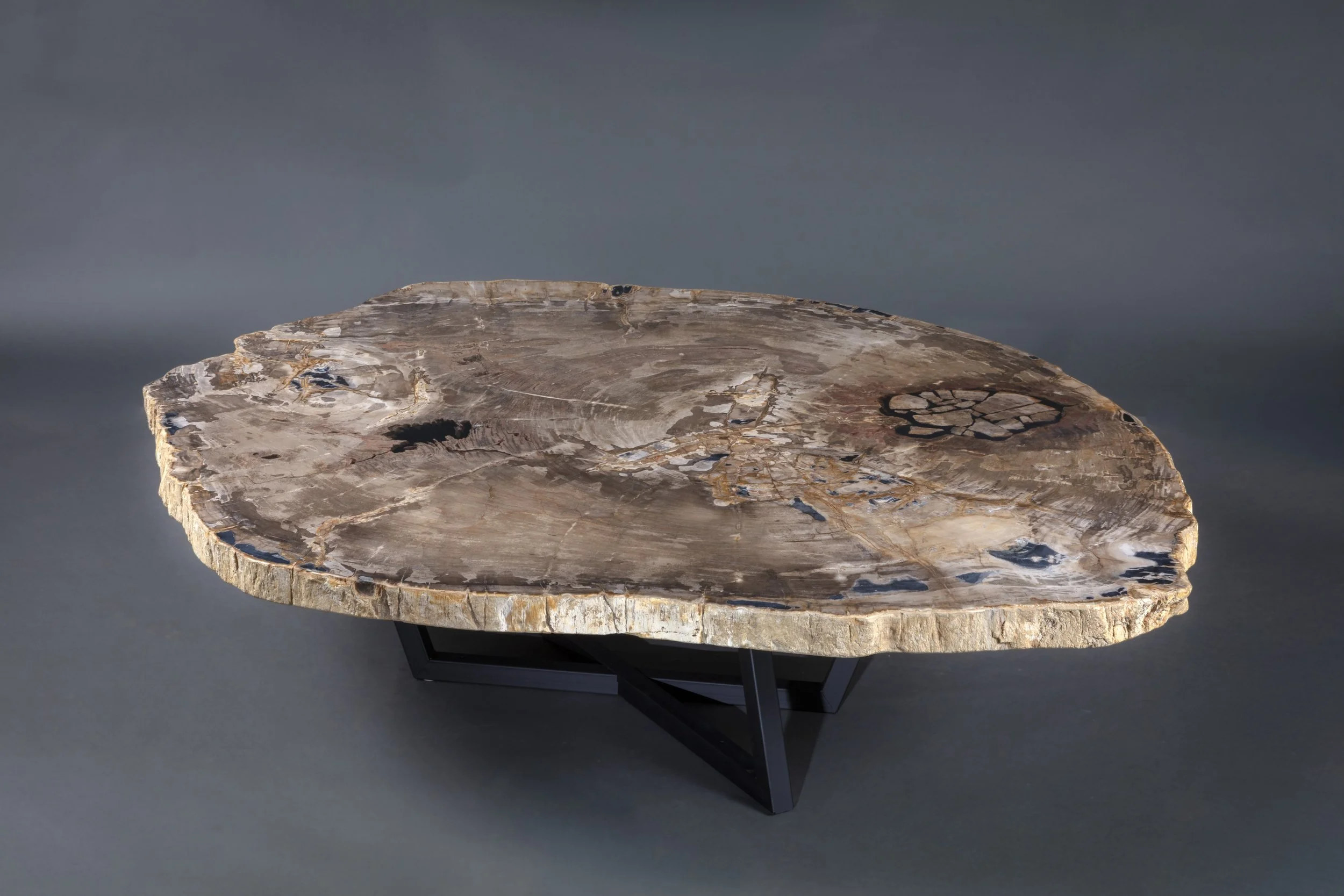 Extra Large Petrified Coffee Table with Custom Geometric Metal Base.jpg