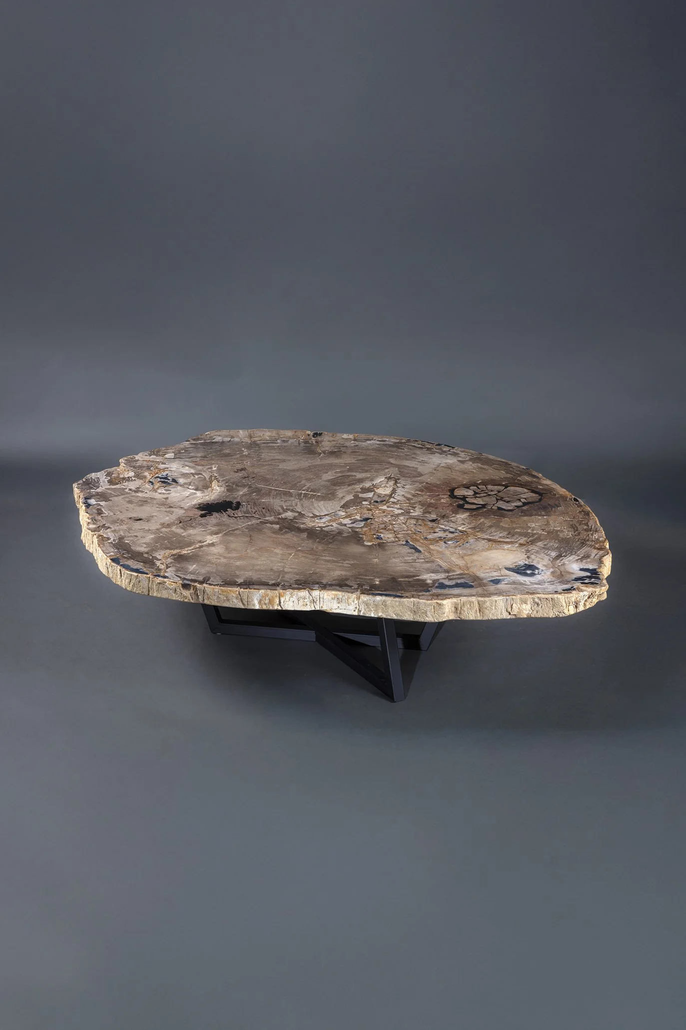 Extra Large Petrified Coffee Table with Custom Geometric Metal Base.jpg