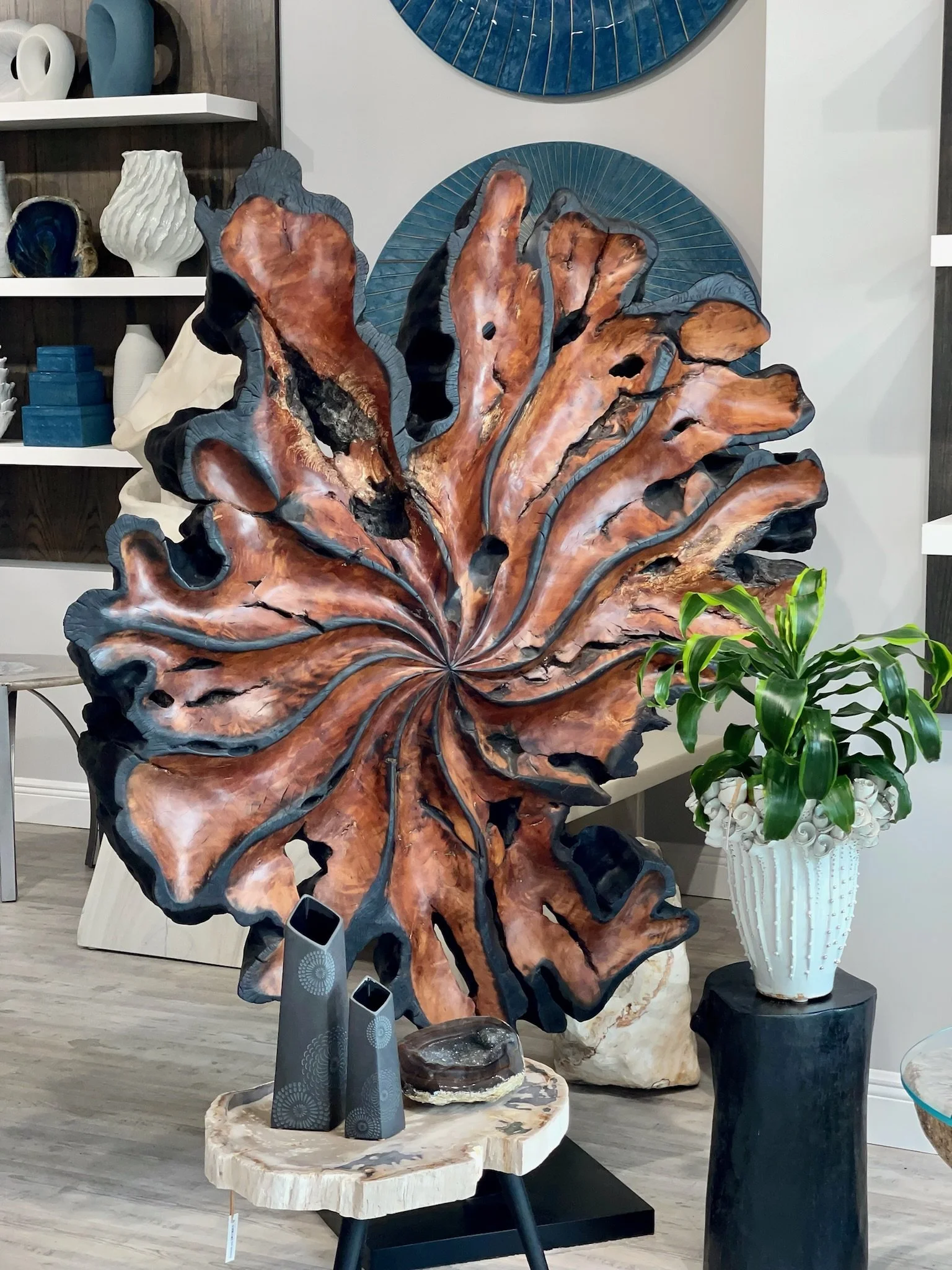 5th Avenue Naples, FL Furniture Showroom — Cocoon Gallery