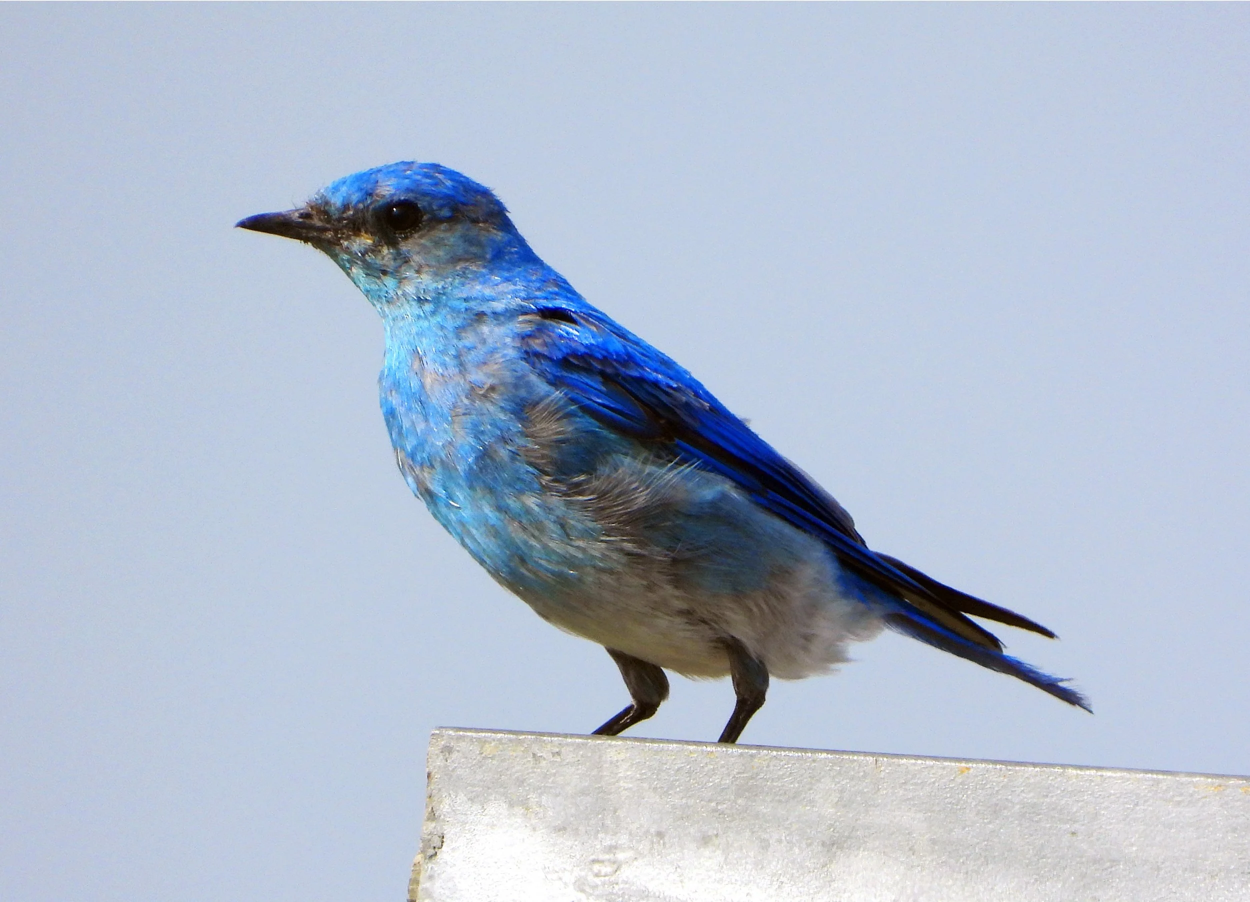 DSCN1163.JPG