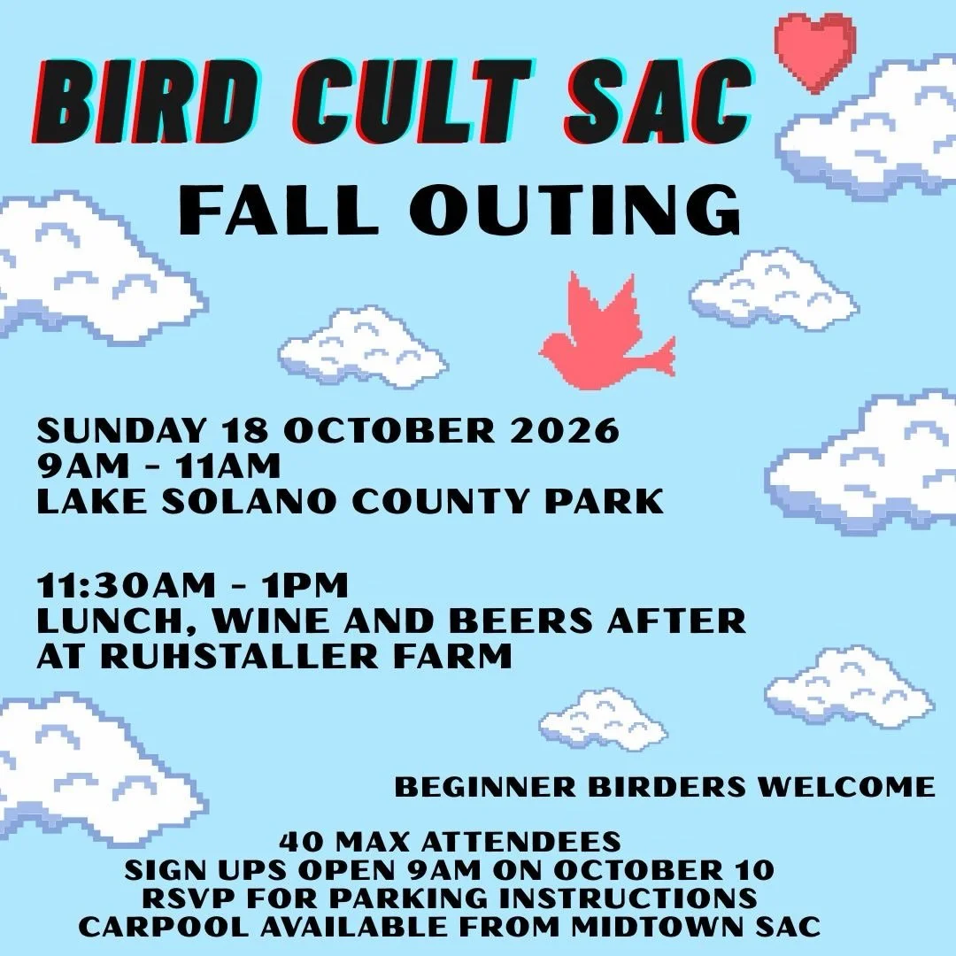 Join @birdcultsac for a morning fall outing at Lake Solano County Park followed by beers, wine, and lunch at Ruhstaller Farm! We can only accept maximum 40 people for this event!

🪶🍷🍻🐑☁️
October 18, 2026 Sunday
Meet at 9AM at Lake Solano County P