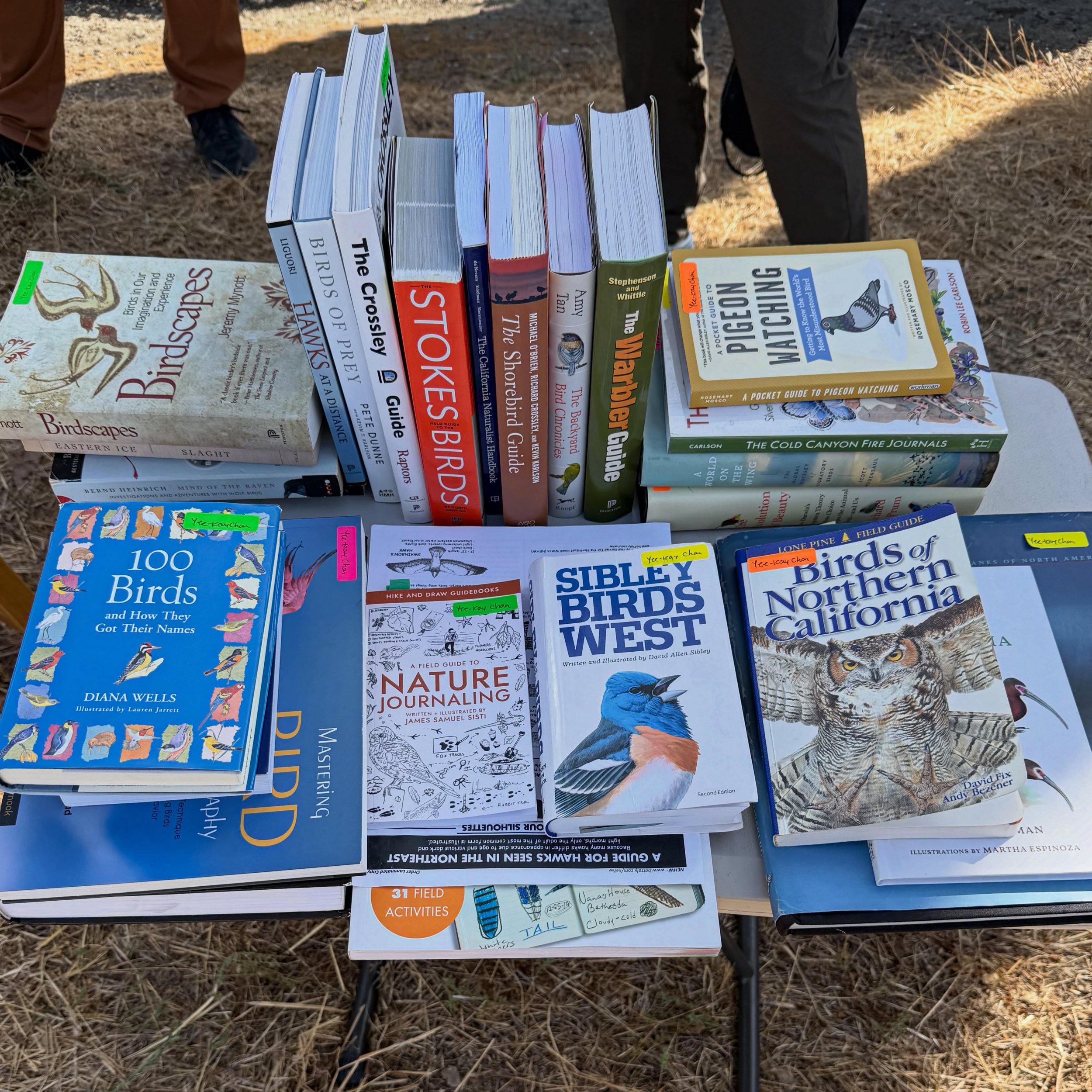 Bird Cult Library and @n_o_c_s appreciation post!