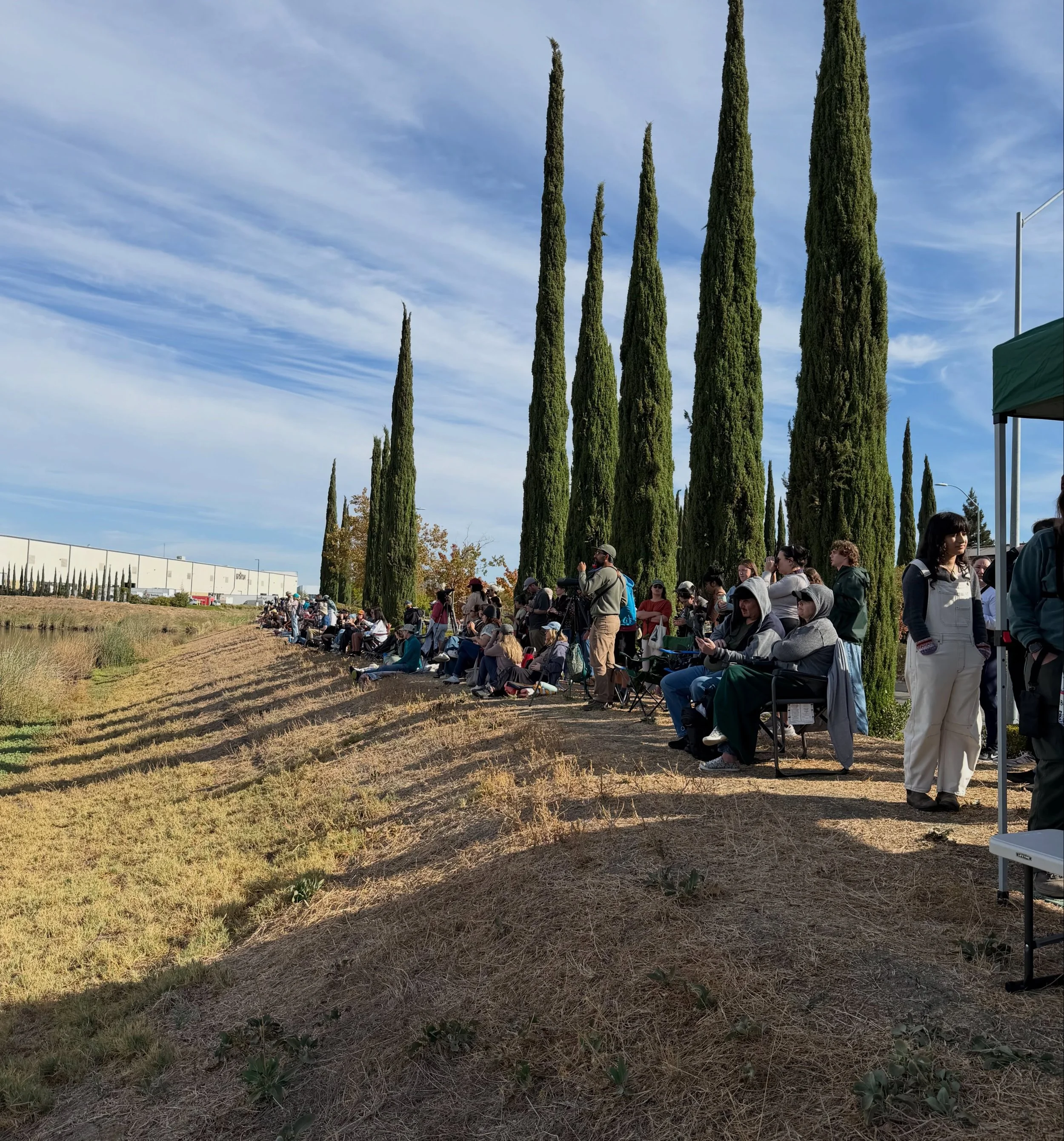 The "tern" out for Bird Cult Sac's Fall Opener 🦆🫶🍁

Thank you for coming out to enjoy birds, coffee, and treats today!

Ebird list will be shared with those who sent their usernames in the rsvp form!