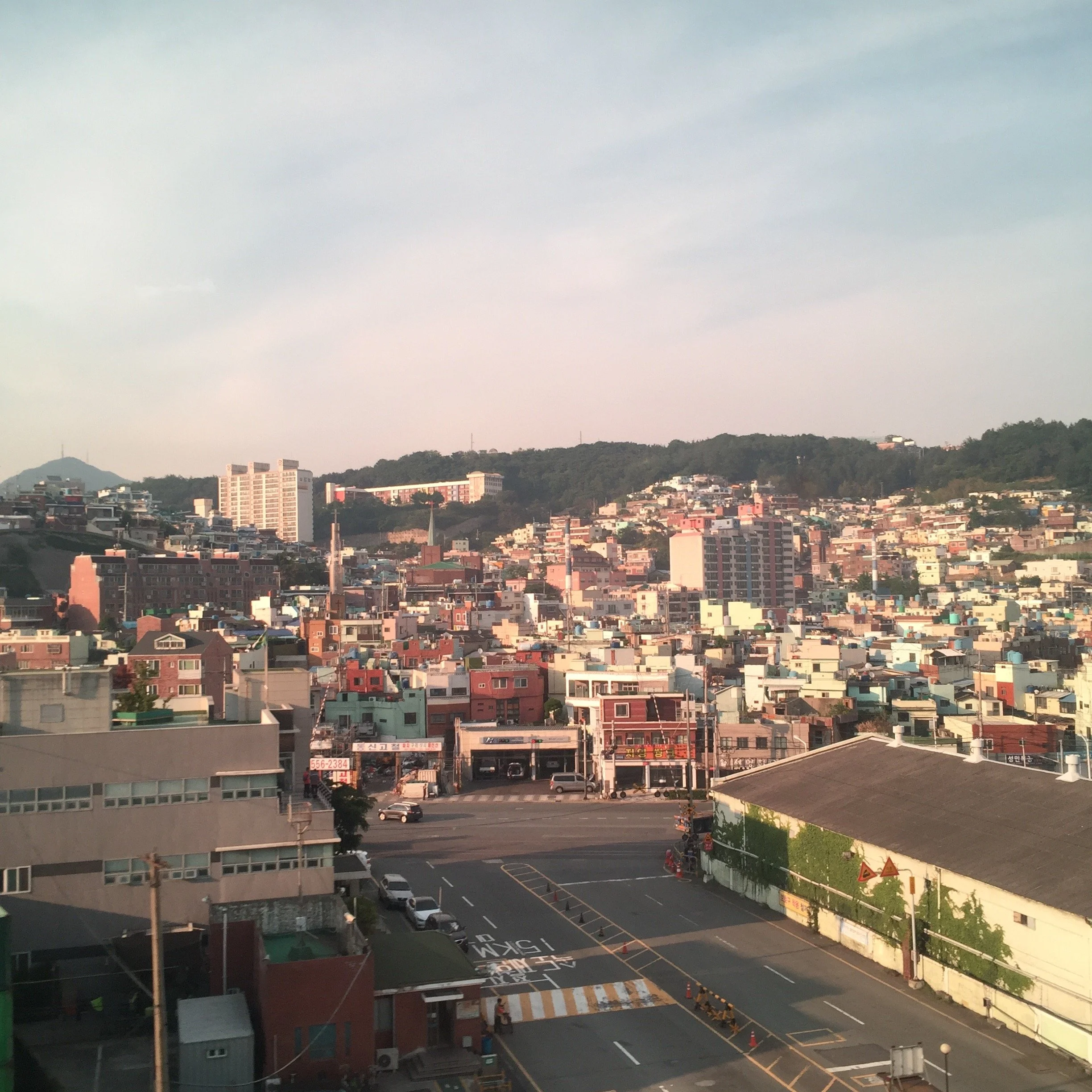 IMG_8816.jpg