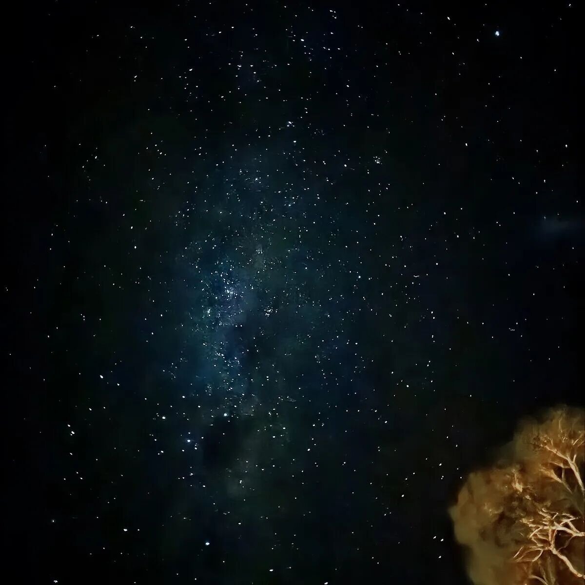 I need to take the time to step outside and look up more. Thank you for the reminder from some recent lovely guests.

#starrysky #dodgesferry #tasmania #comedownforair