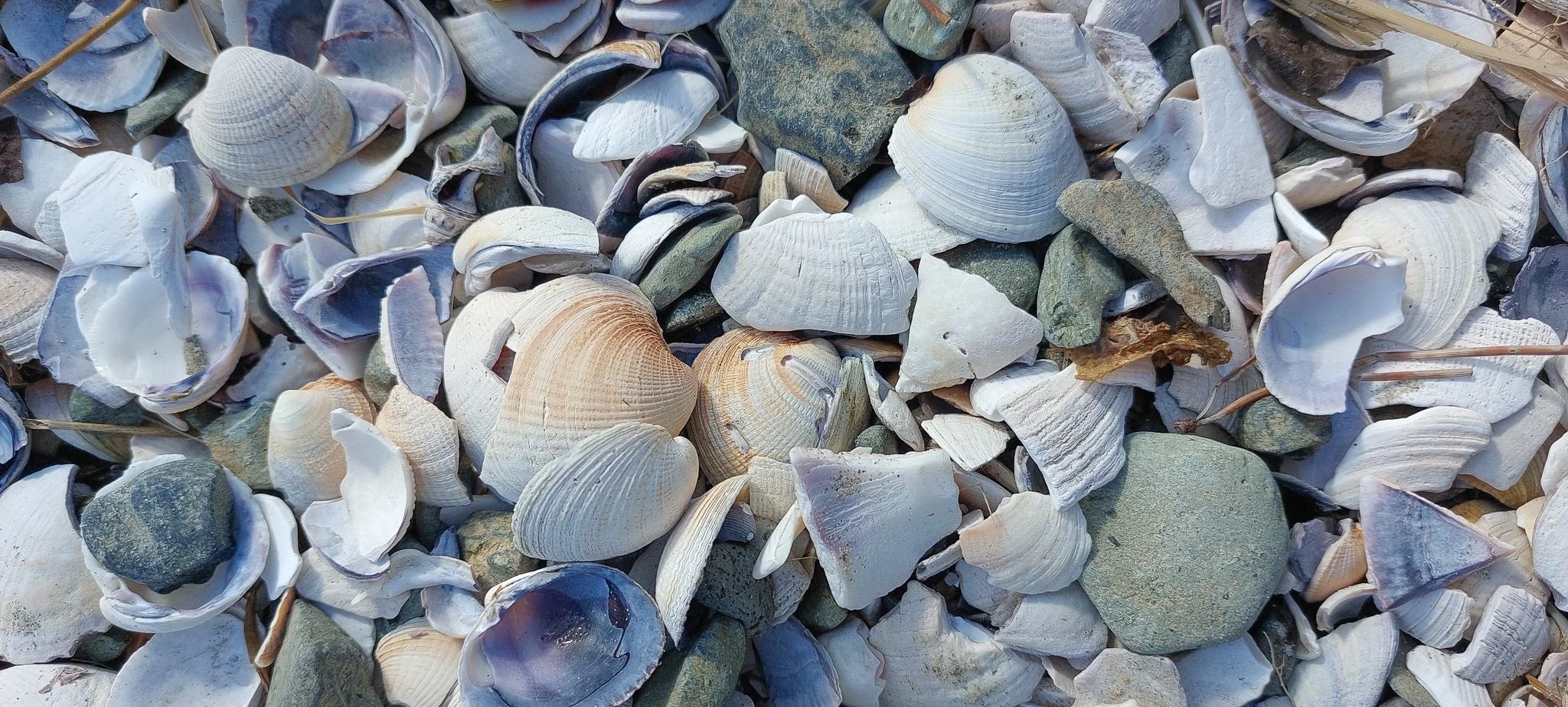 20220729_121216.jpg