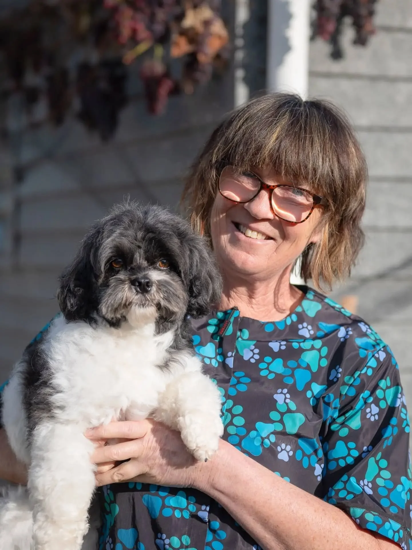 ✨ Milton Business Spotlight: Shaggy to Sleek Dog Grooming ✨

Every dog deserves to look and feel their best, and that's exactly what Roby at Shaggy to Sleek Dog Grooming is passionate about.

As the owner and sole groomer, Robyn provides every dog wi