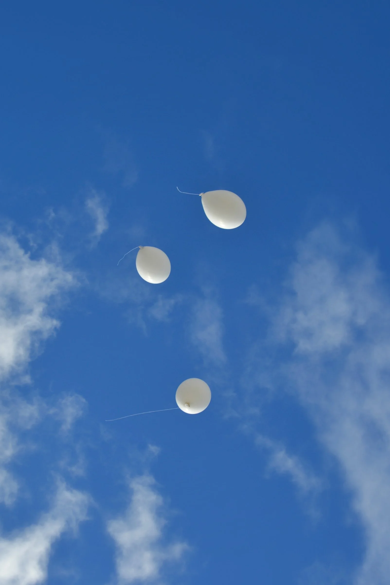balloons released in memory of loved ones