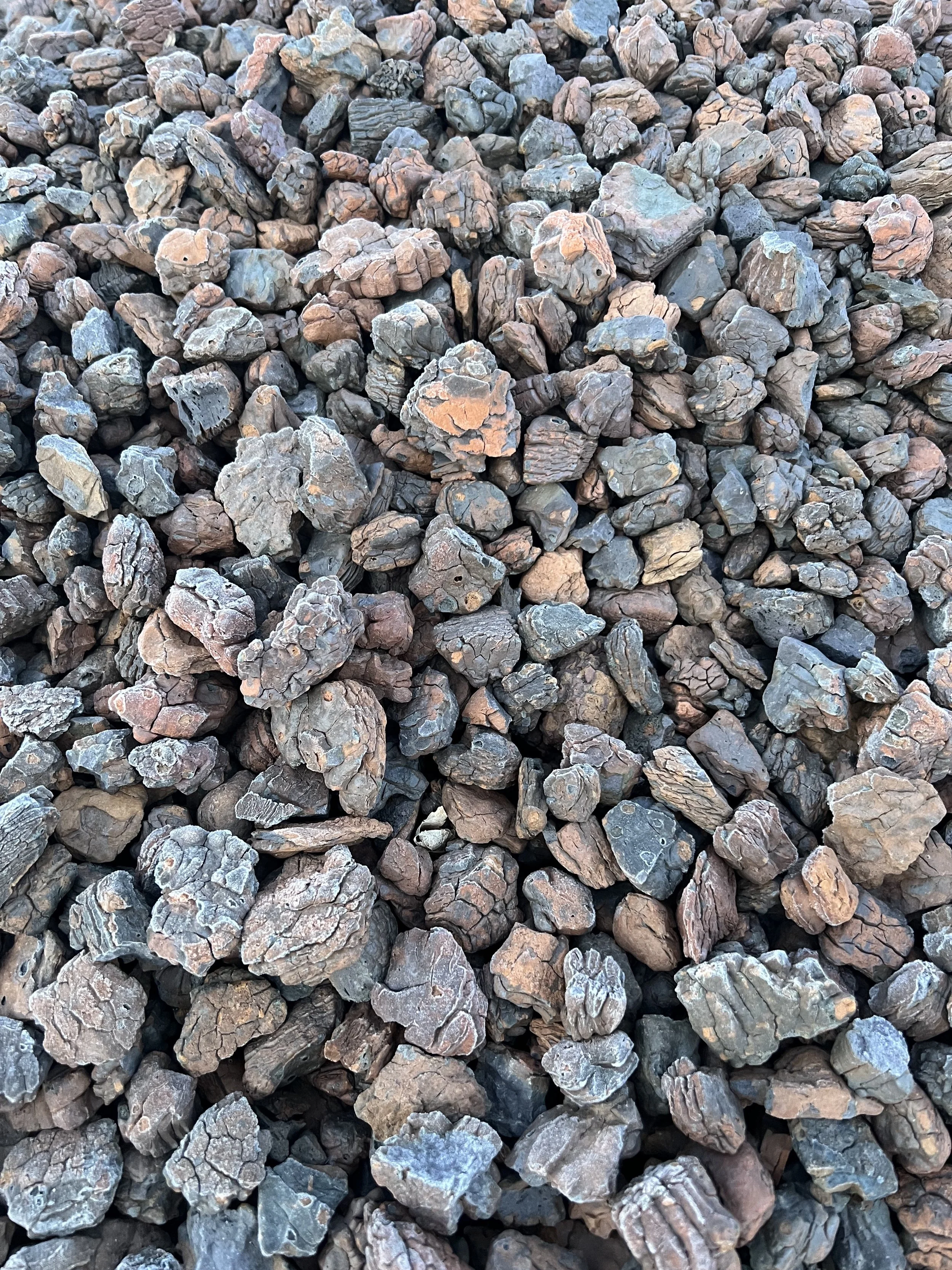Rock Bark.jpeg