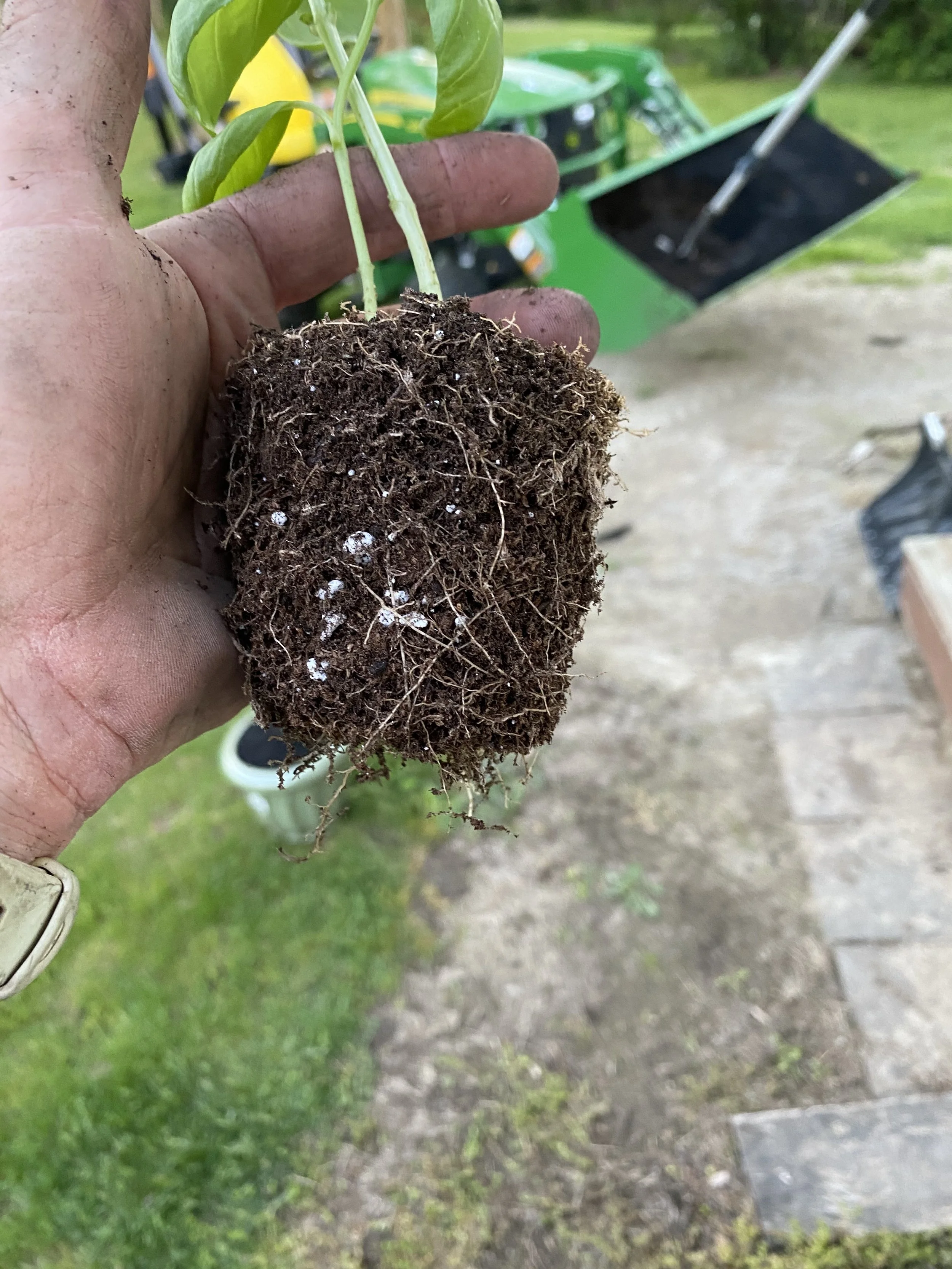 Copy of IMG_1828.jpeg