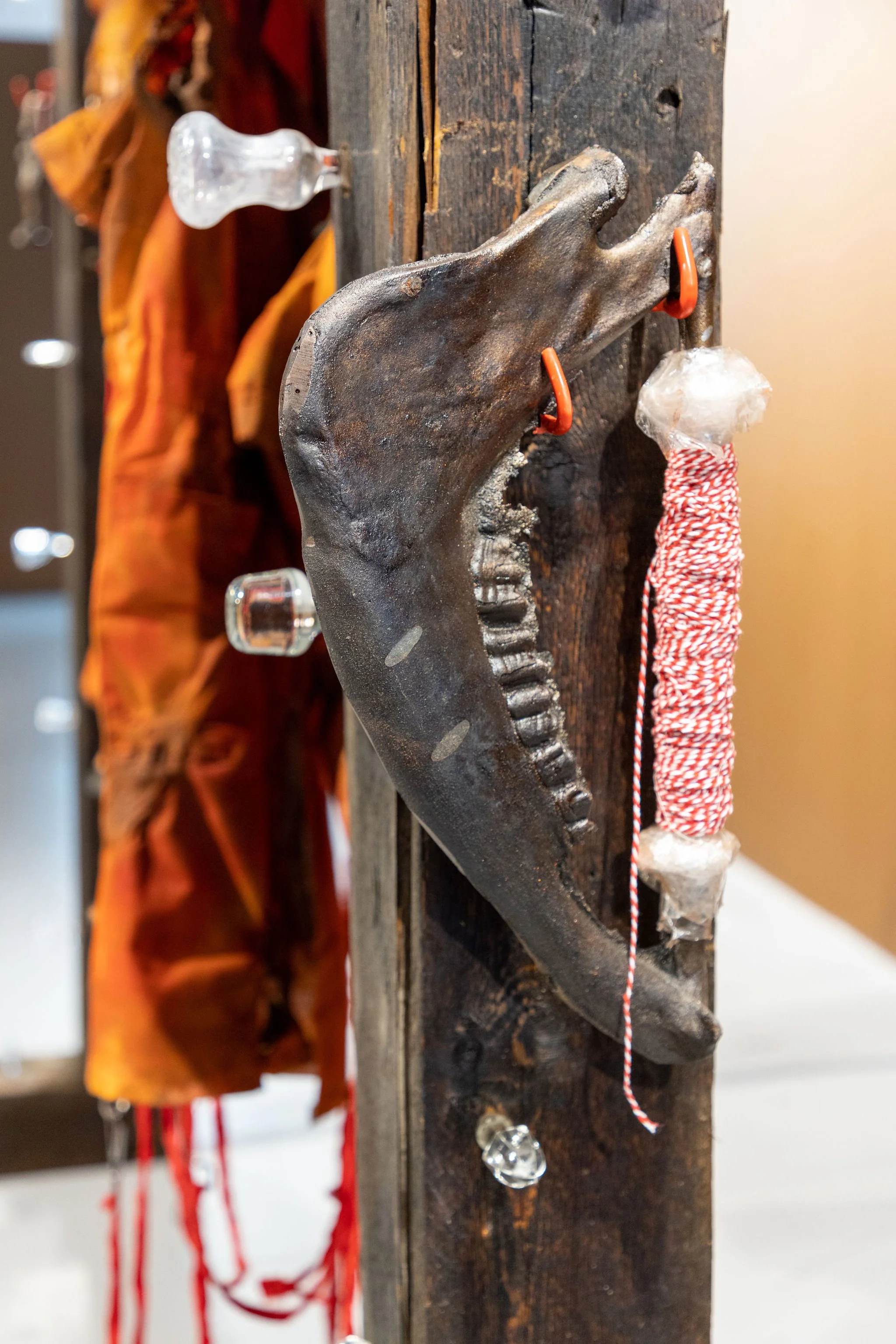 In The Belly Of The Cave, 2024