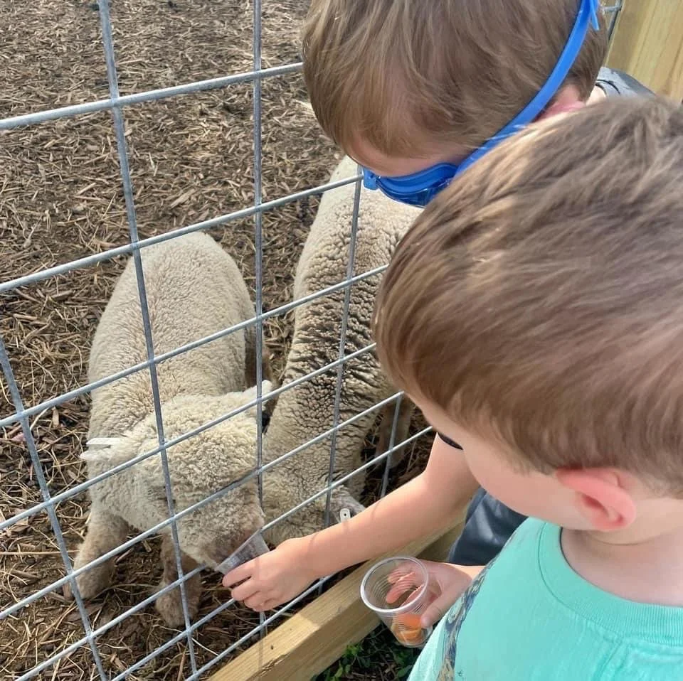 Things to do in St. Louis with Kids Eckerts Farm