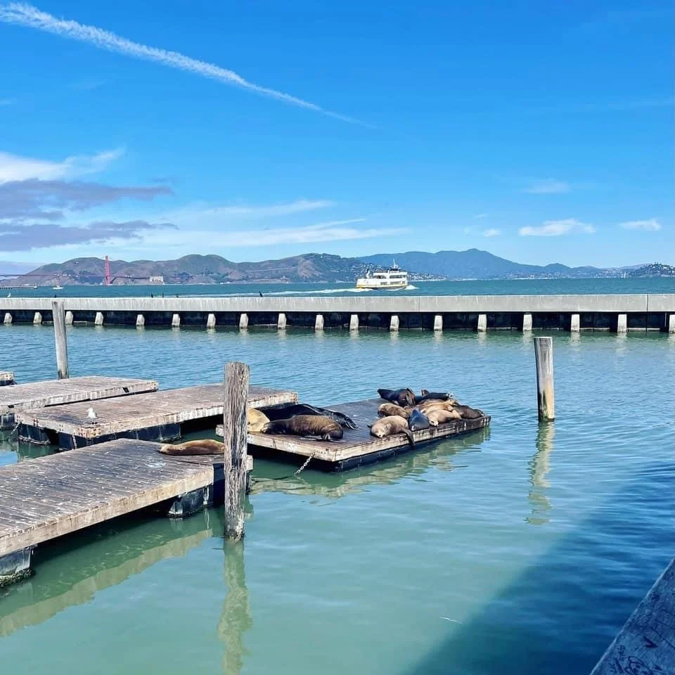 San Francisco 7 day itinerary - Fishermans wharf