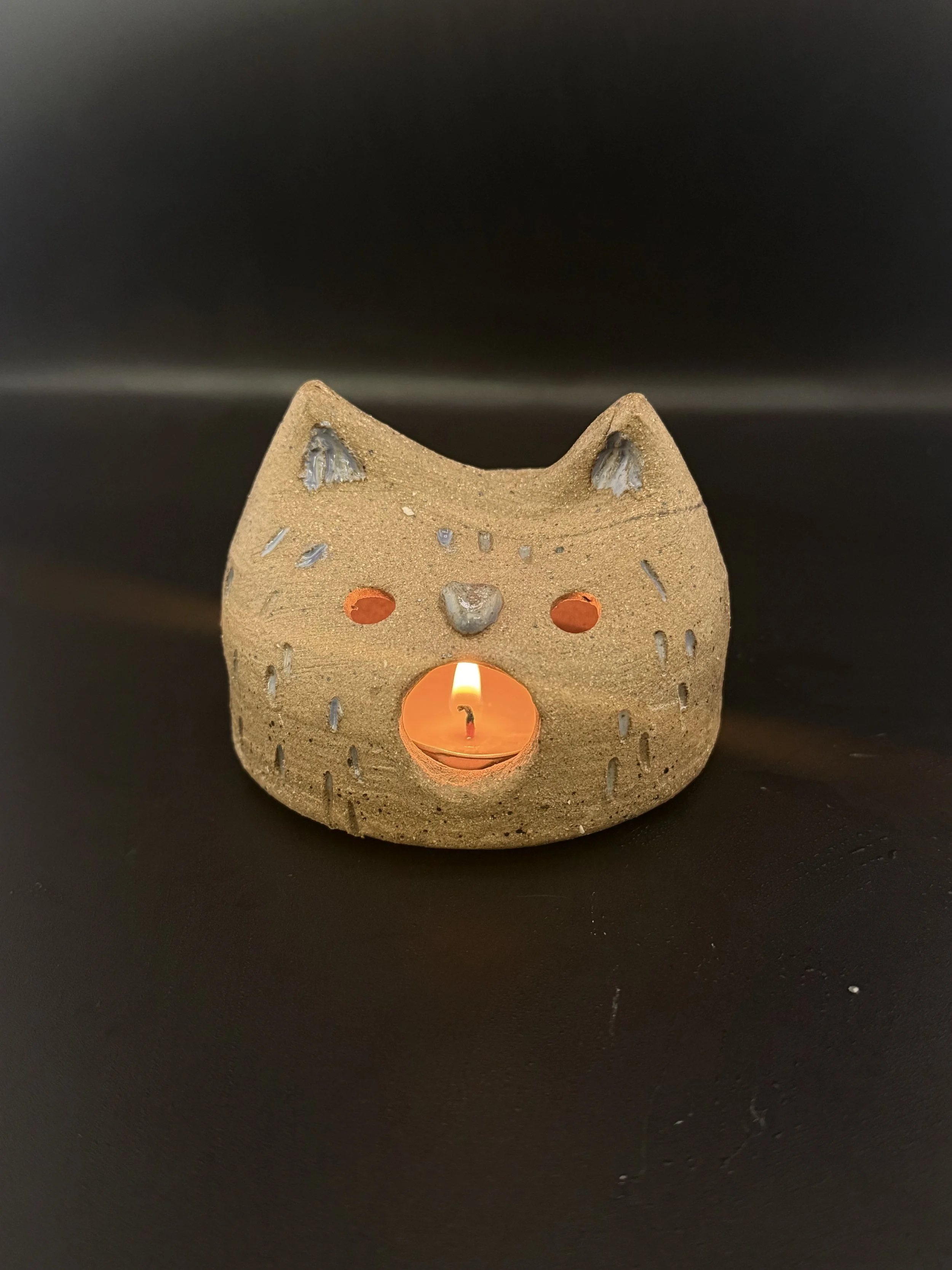 Surprise kitty  Lantern