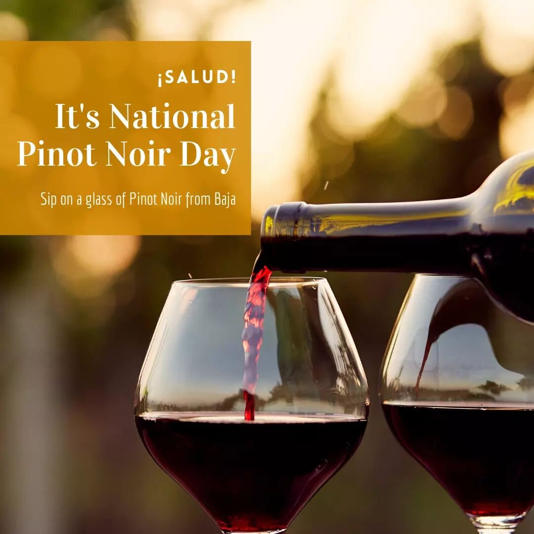 It&rsquo;s national pinot noir day! 

Celebrate with a glass of your favorite pinot from Baja! Link in bio to shop.