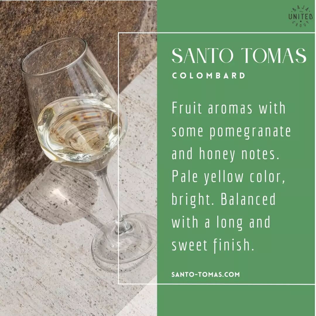 Get to know our wines: Santo Tomas Colombard

The Santo Tomas Colombard has fruit aromas with some pomegranate and honey notes. Pale yellow color and is balanced with a long and sweet finish.

Buy a bottle of Santo Tomas Colomard! Link in bio.