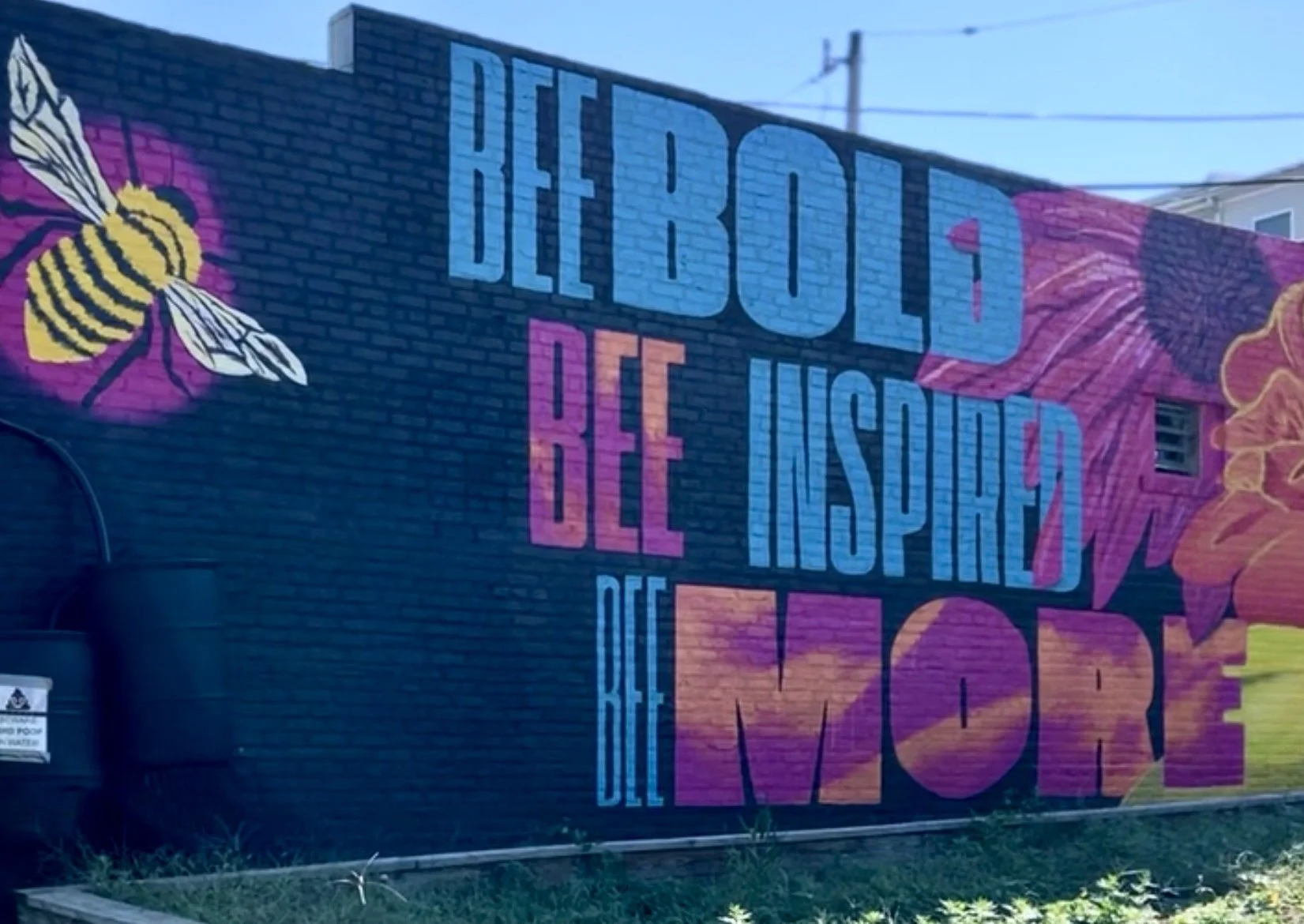 Spreading the Joy: Pollinator Gardens Feed Baltimore Ecosystem