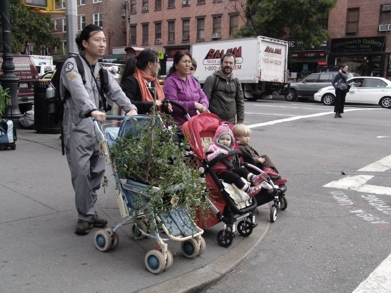MobileGarden3.jpeg