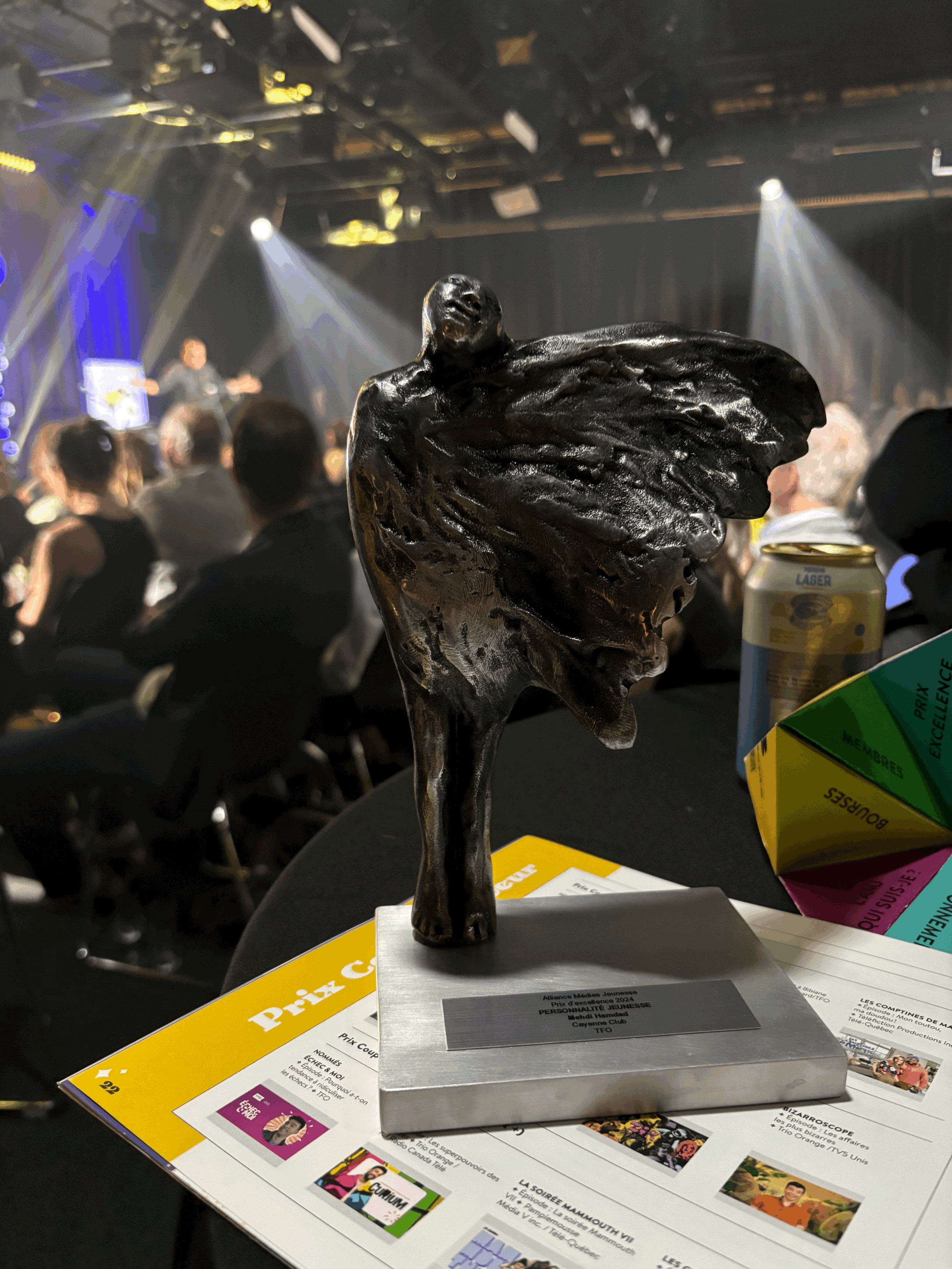 Lauréat du Prix d'excellence 2024 : Personnalité Jeunesse (Alliance Médias Jeunesse)