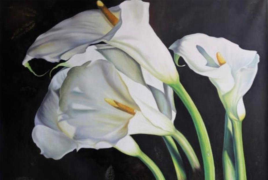 Flores de cartuchos blancos - Mario Chicas — clarinero - Galería de arte en  El Salvador | Compra cuadros decorativos y arte coleccionable en línea