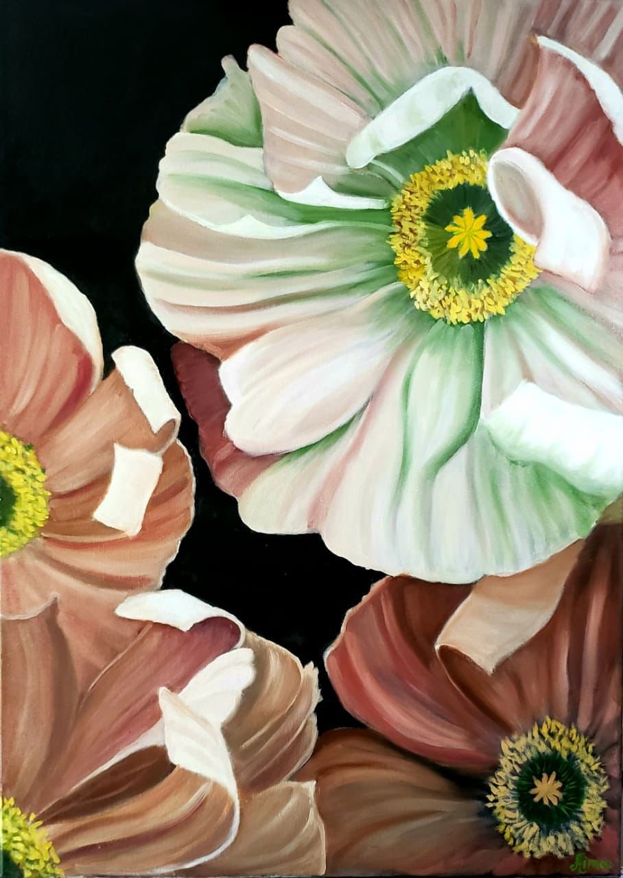 Poppy Flower - Aimée
