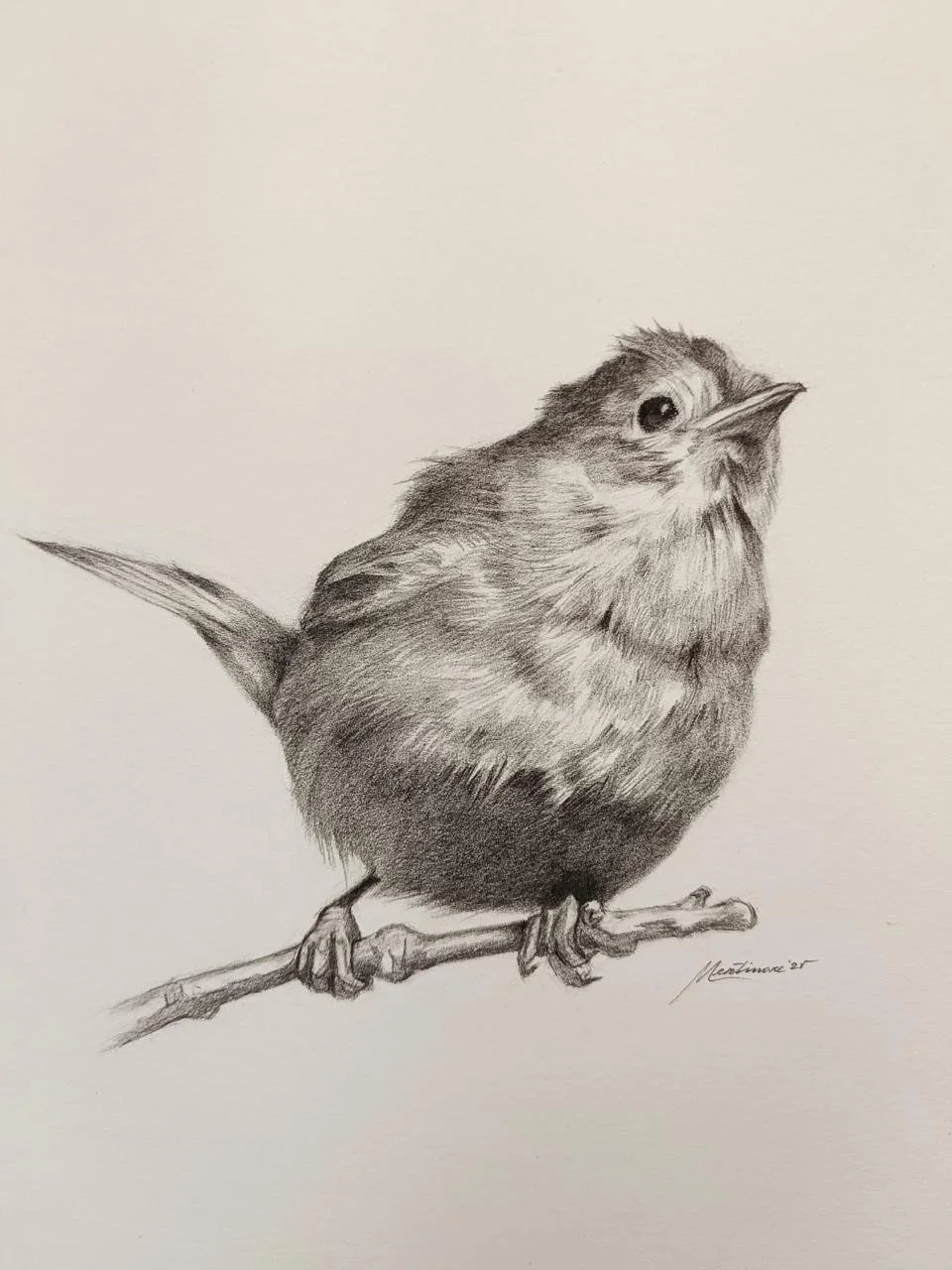 Como en el cielo - Mertinore