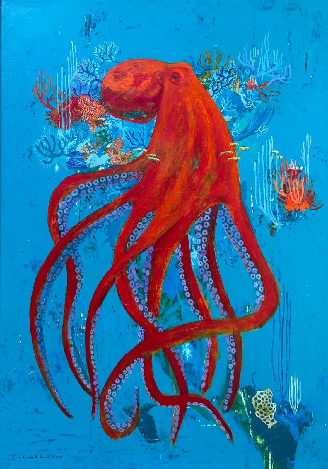 Pulpo sobre azul- Boris Ciudad Real