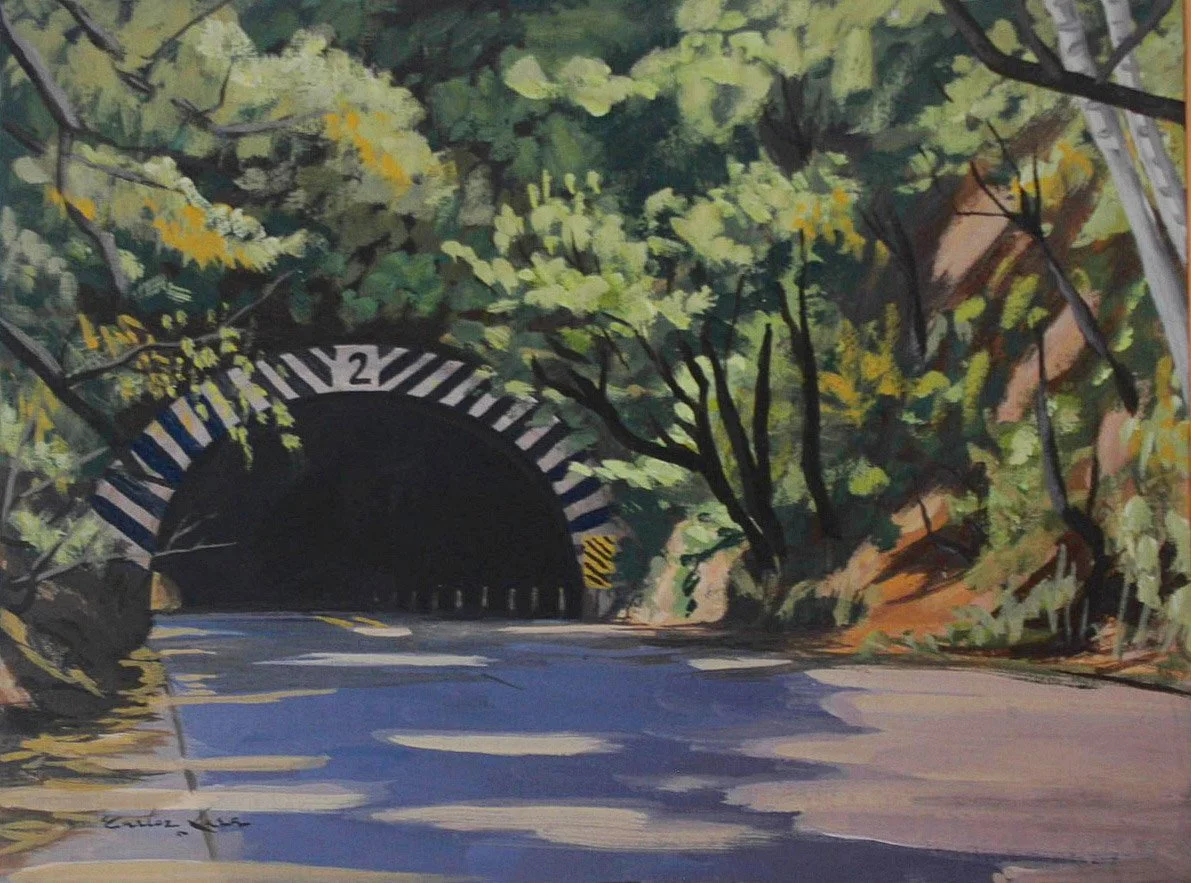 segunto-tunel-de-carretera-litoral-carlos-lara-clarinero-galeria-de-arte-comprar-en-linea-el-salvador-cuadros-decorativos-6.jpg