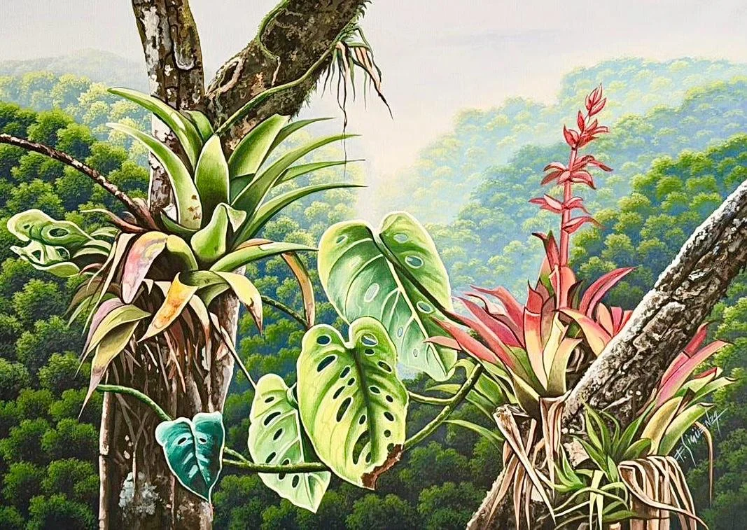 Flor Bromelia- Francisco Sigüenza