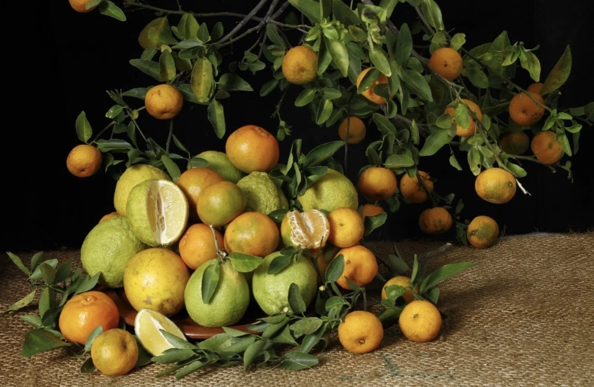 Citrus.jpg