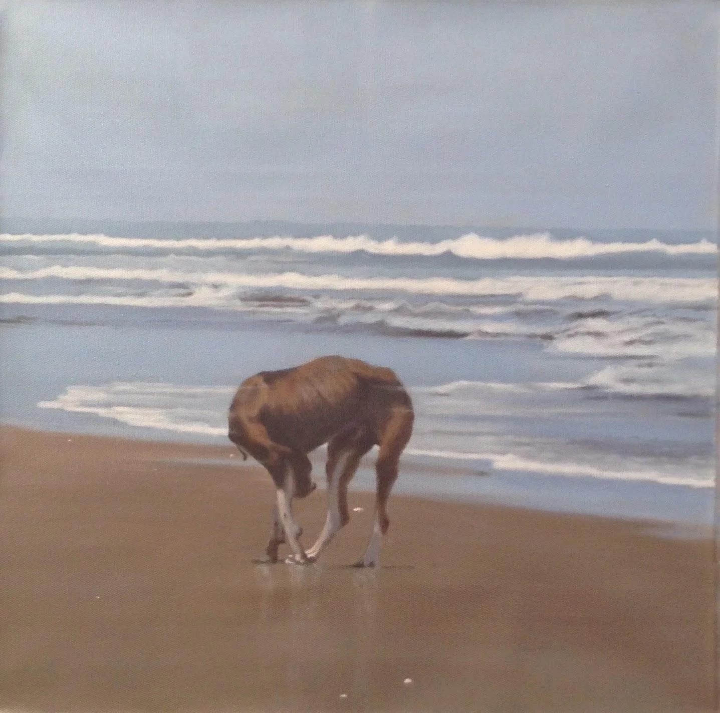 Chucho en playa III - Carmen Elena Trigueros