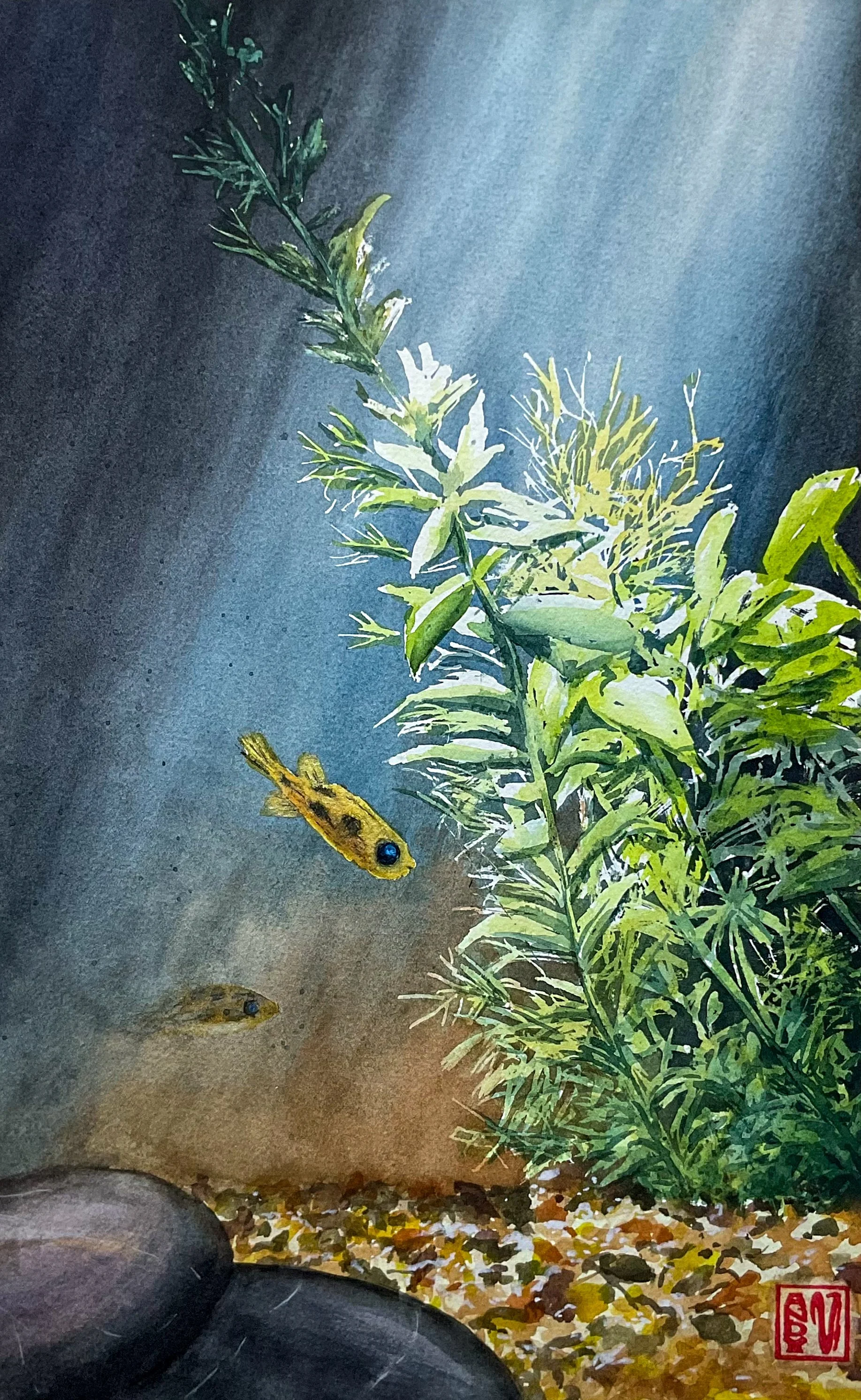 Profundidad relativa - Andy Valle