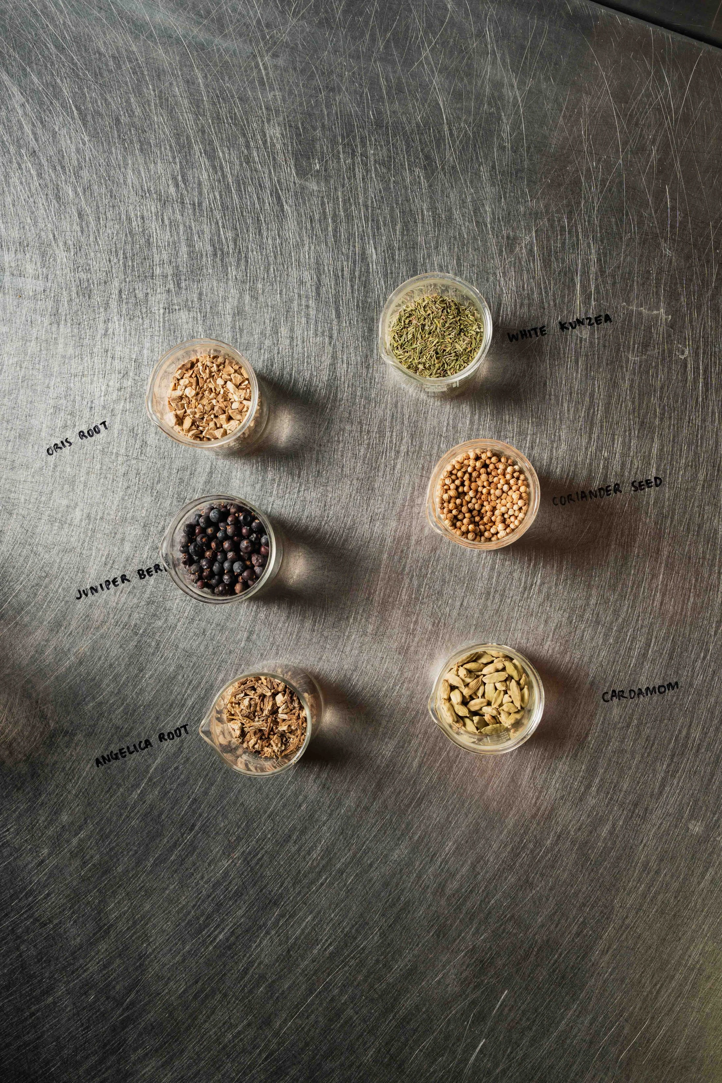 Small clear containers on a stainless steel surface, labeled with plant ingredient names including 'Oris Root', 'White Kunzea', 'Coriander Seed', 'Angelica Root', 'Juniper Berry', and 'Caraway' containing various dried herbs and seeds.