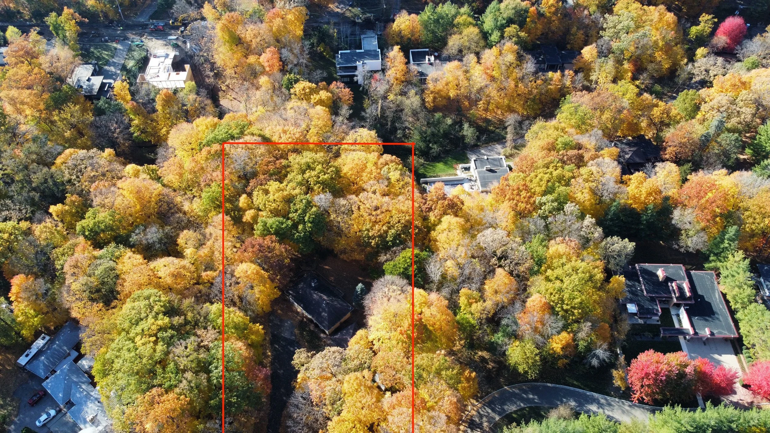 Drone from street.JPG