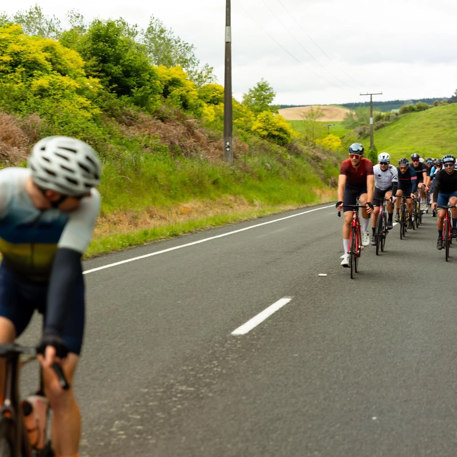 Drop the bunch this year