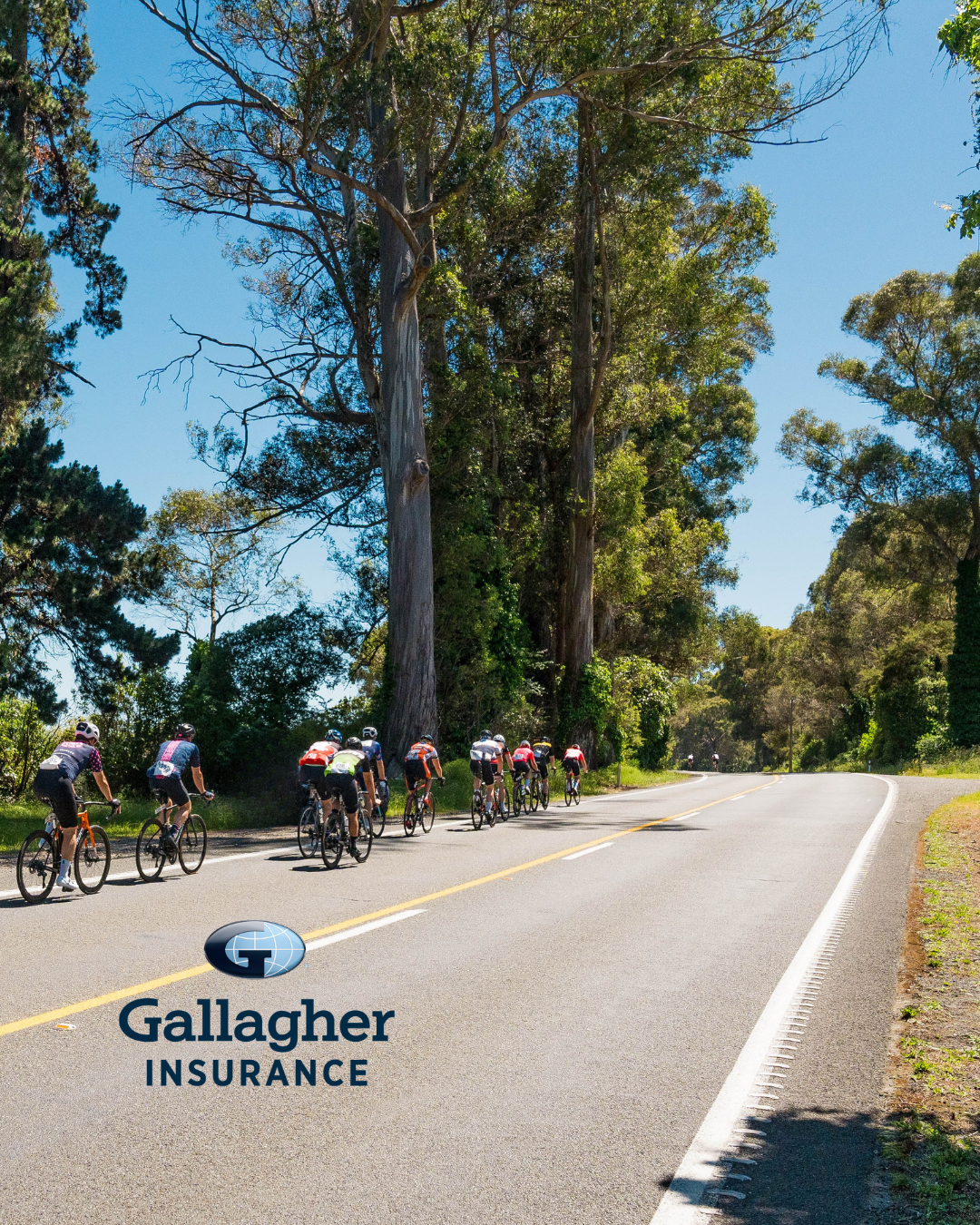 Insurance That Gives Back to the Ride