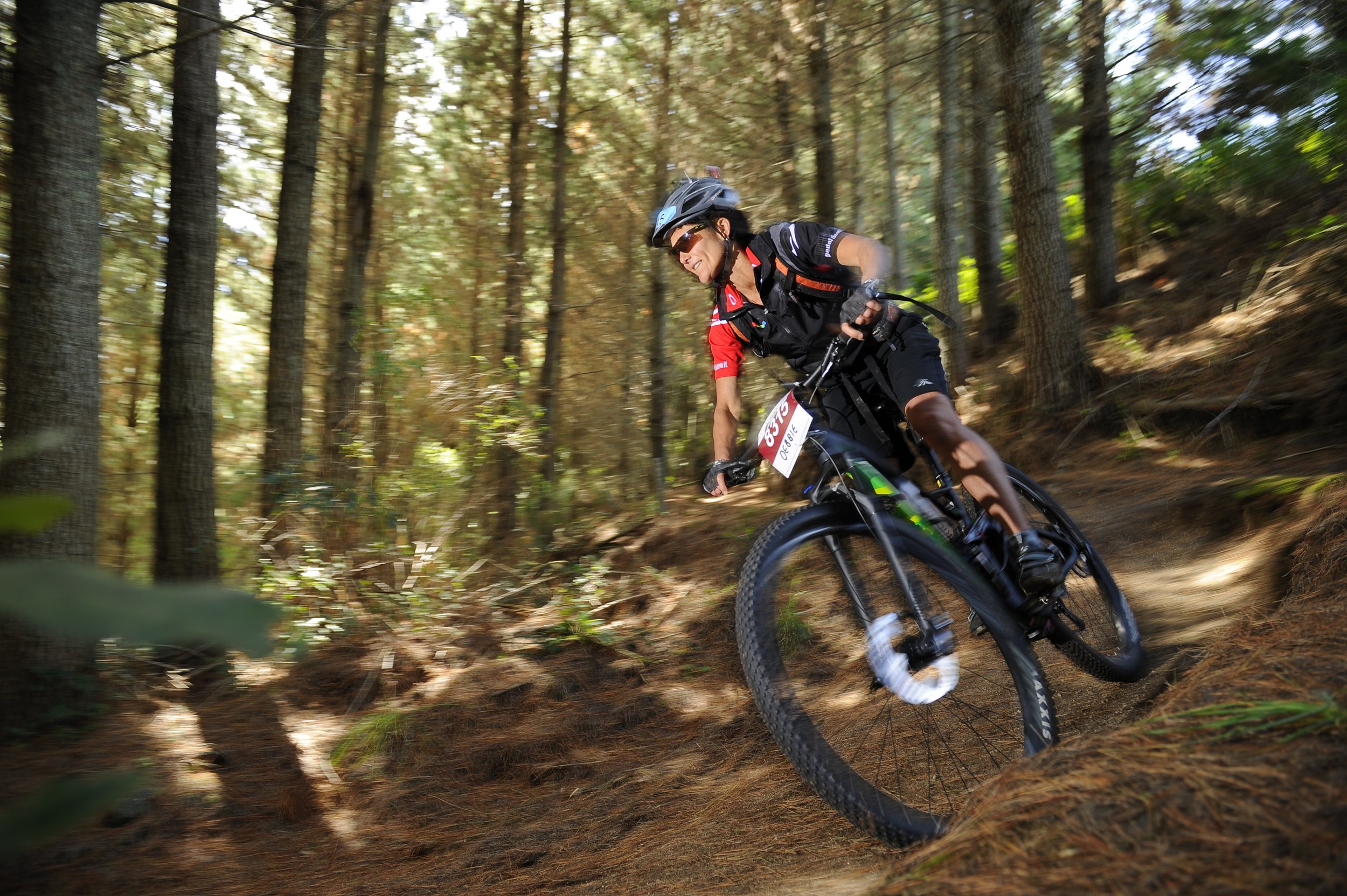 lake taupo cycle