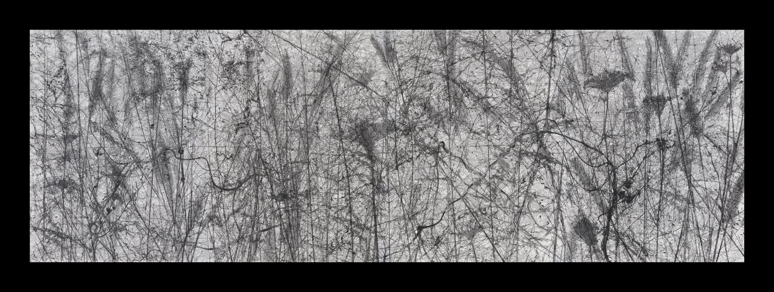 The Anxiety of Grasshoppers (compressed).jpg