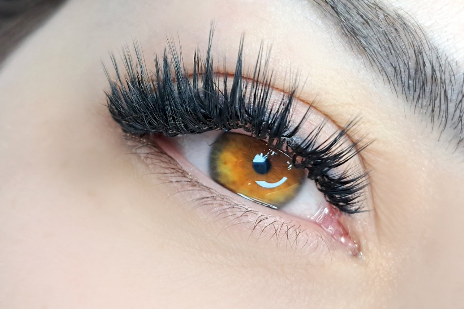 Wet set lash extensions Yuma Arizona Kelly’s Dream Brows