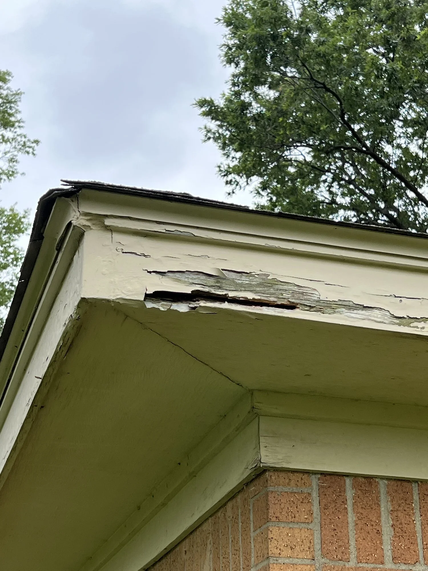 Close-up of the corner of a house showing peeling and damaged white paint on the soffit and fascia, with visible wood rot.