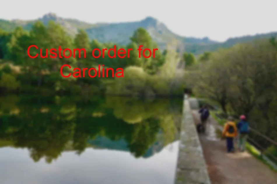 Custom order for Carolina