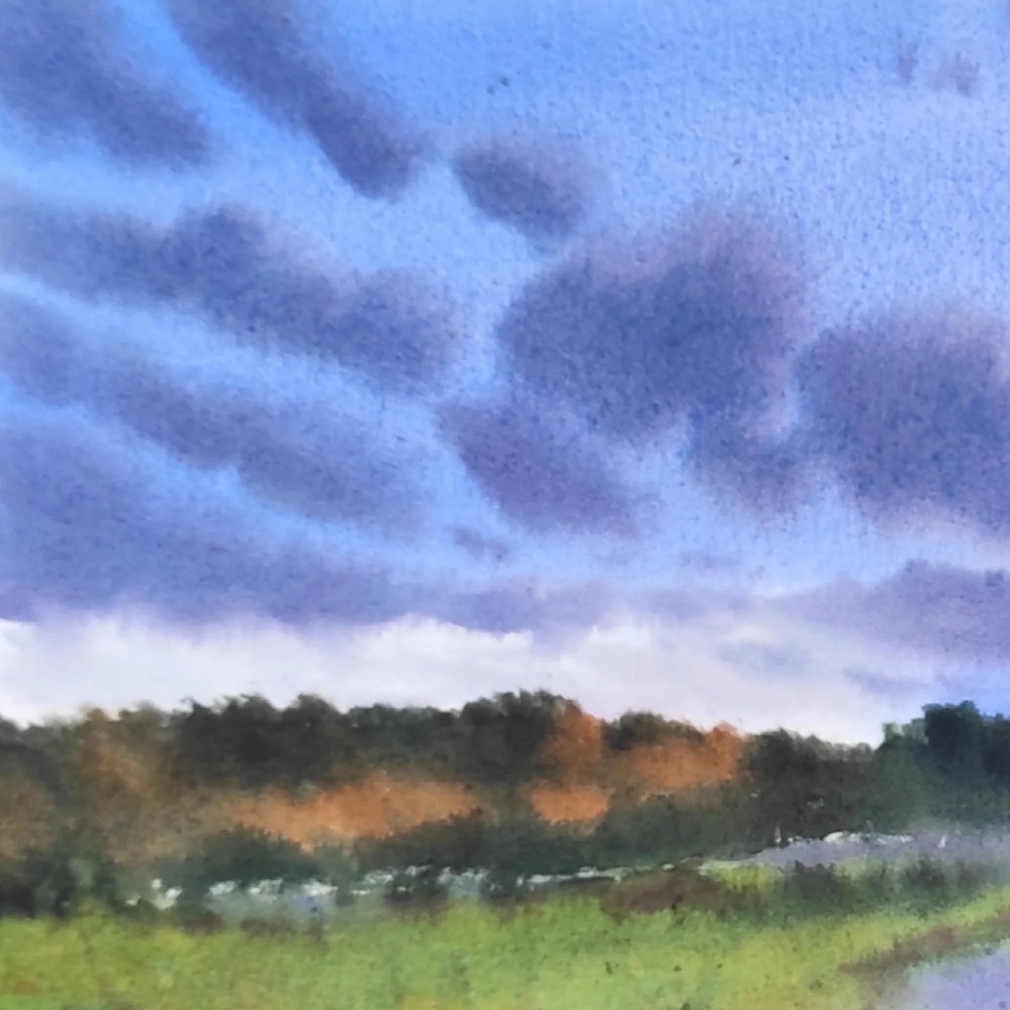 watercolor close up