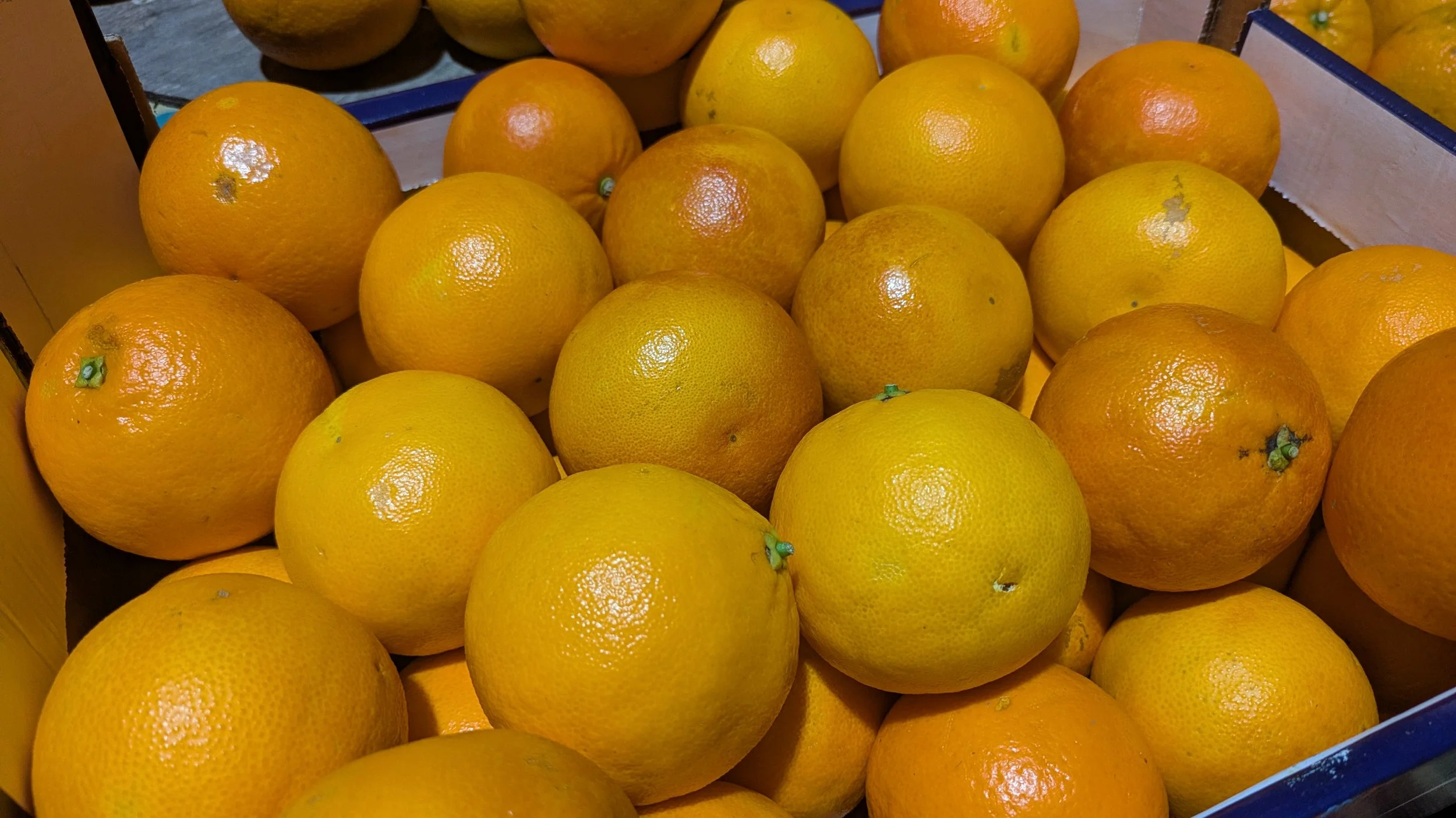 Seville oranges on display at Black Isle Berries Farm Shop