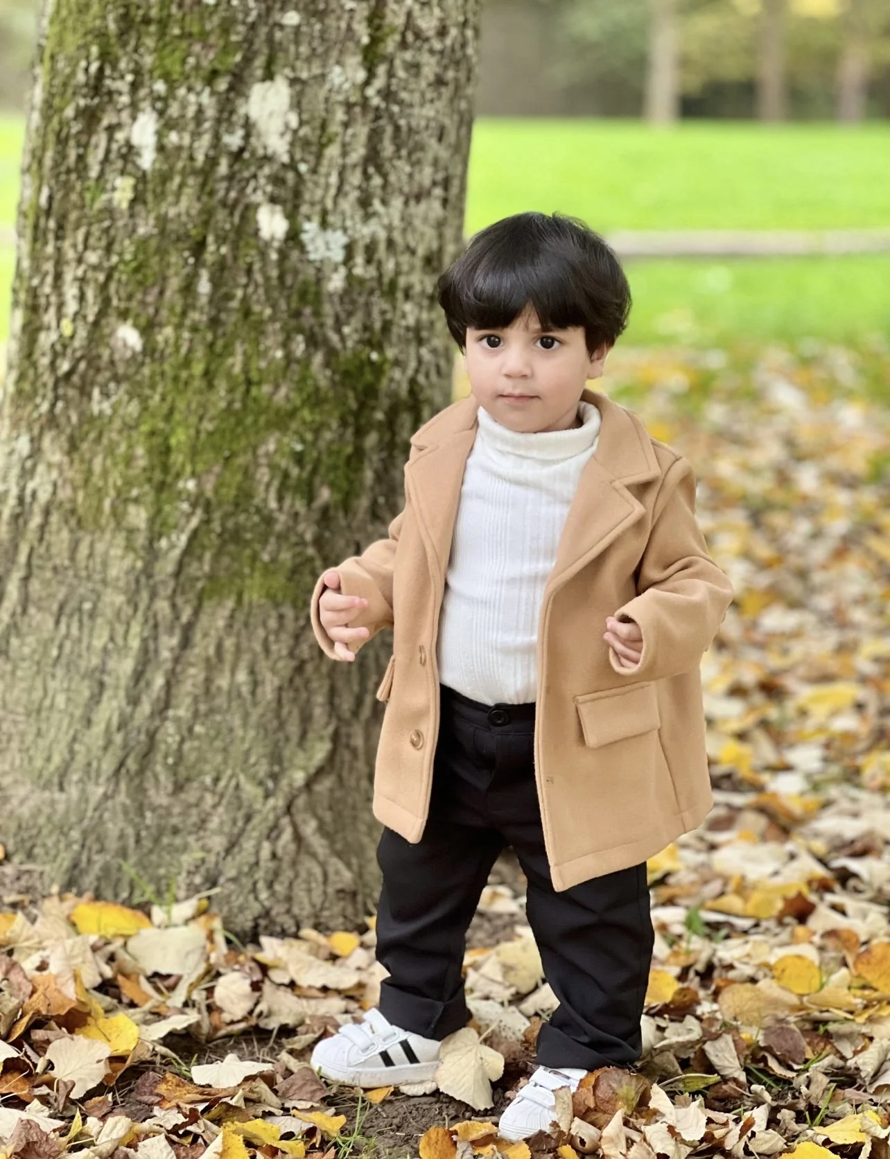 "MAHDI"